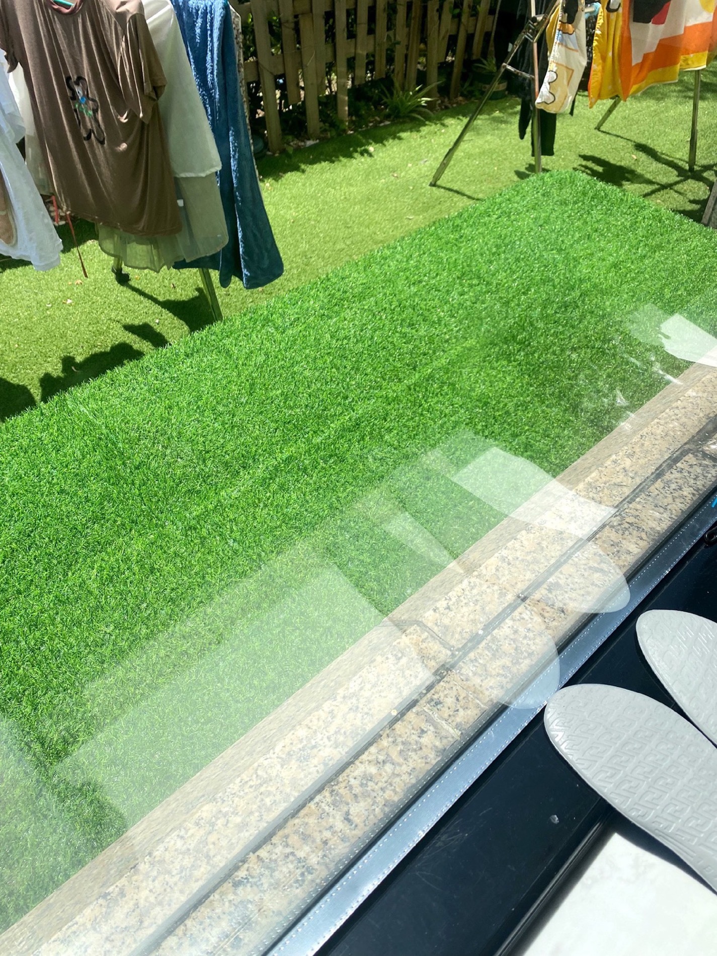 标题西岗草坪基地探秘四季草坪种植指南大公开