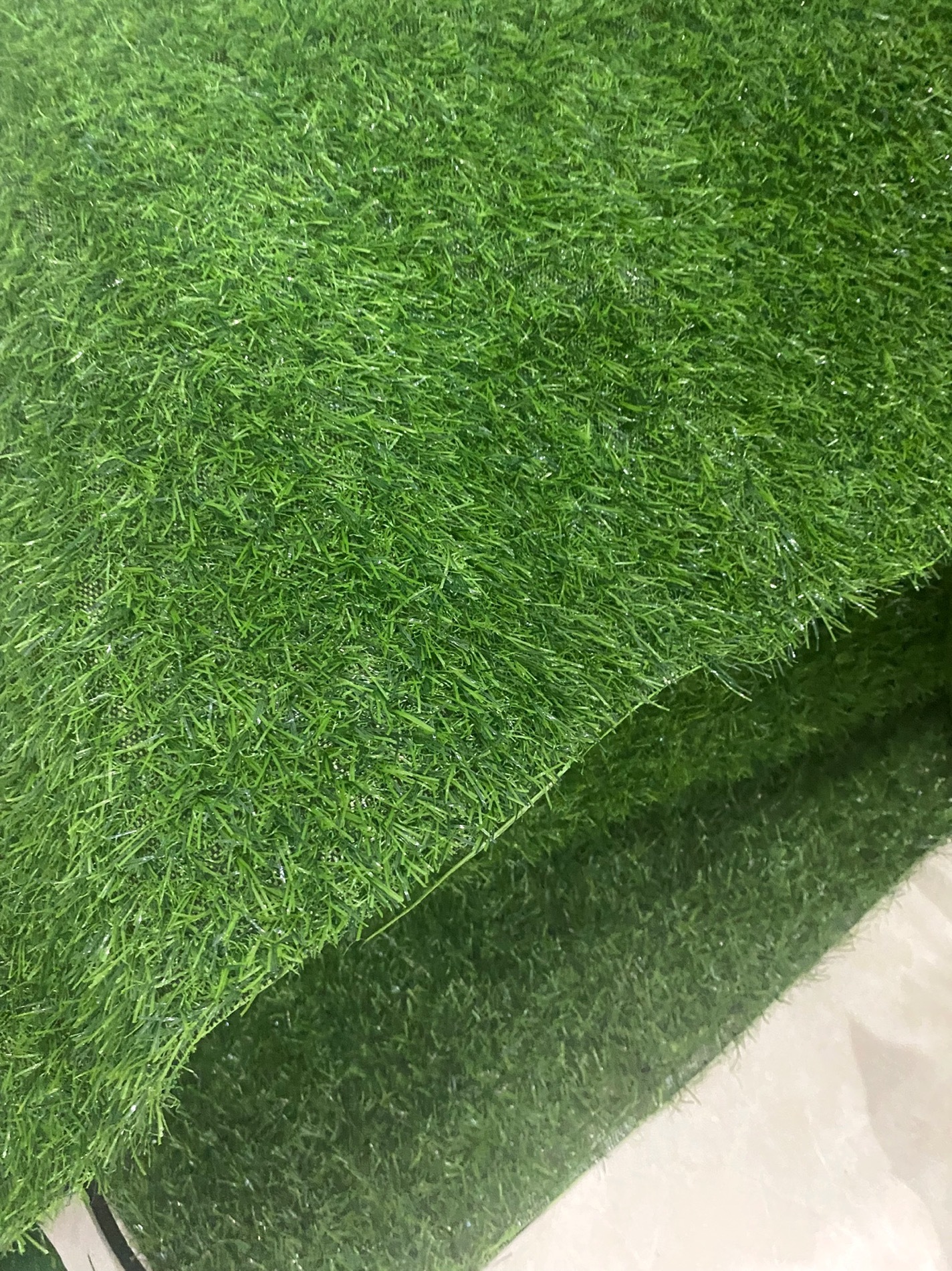 安顺草坪批发