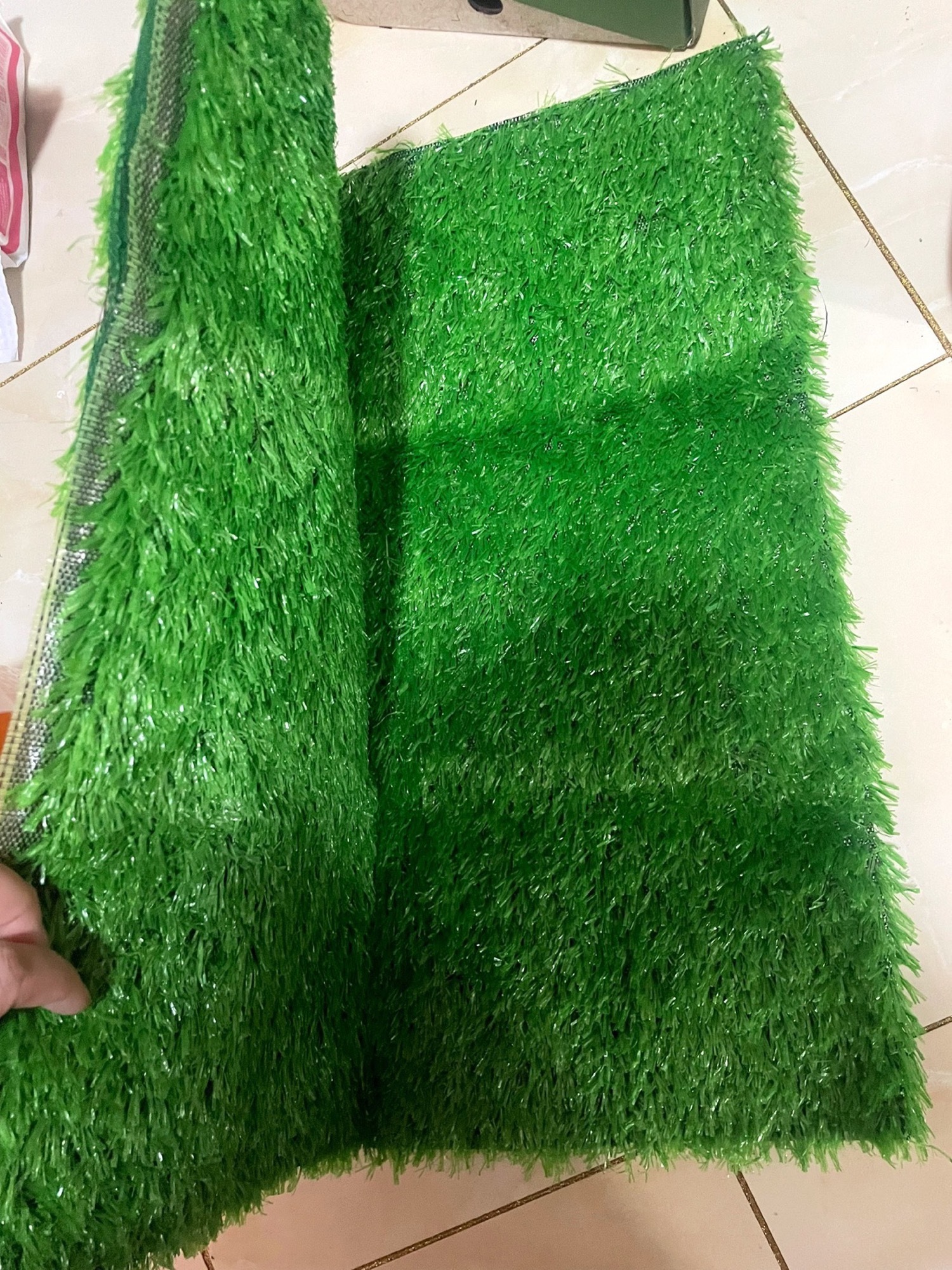 安顺草坪批发