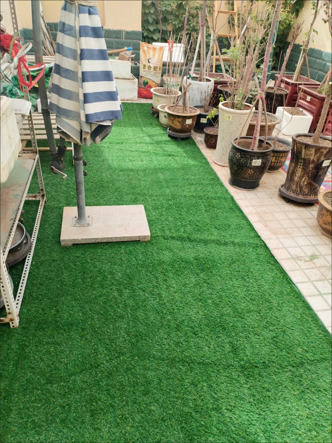 安顺草坪批发