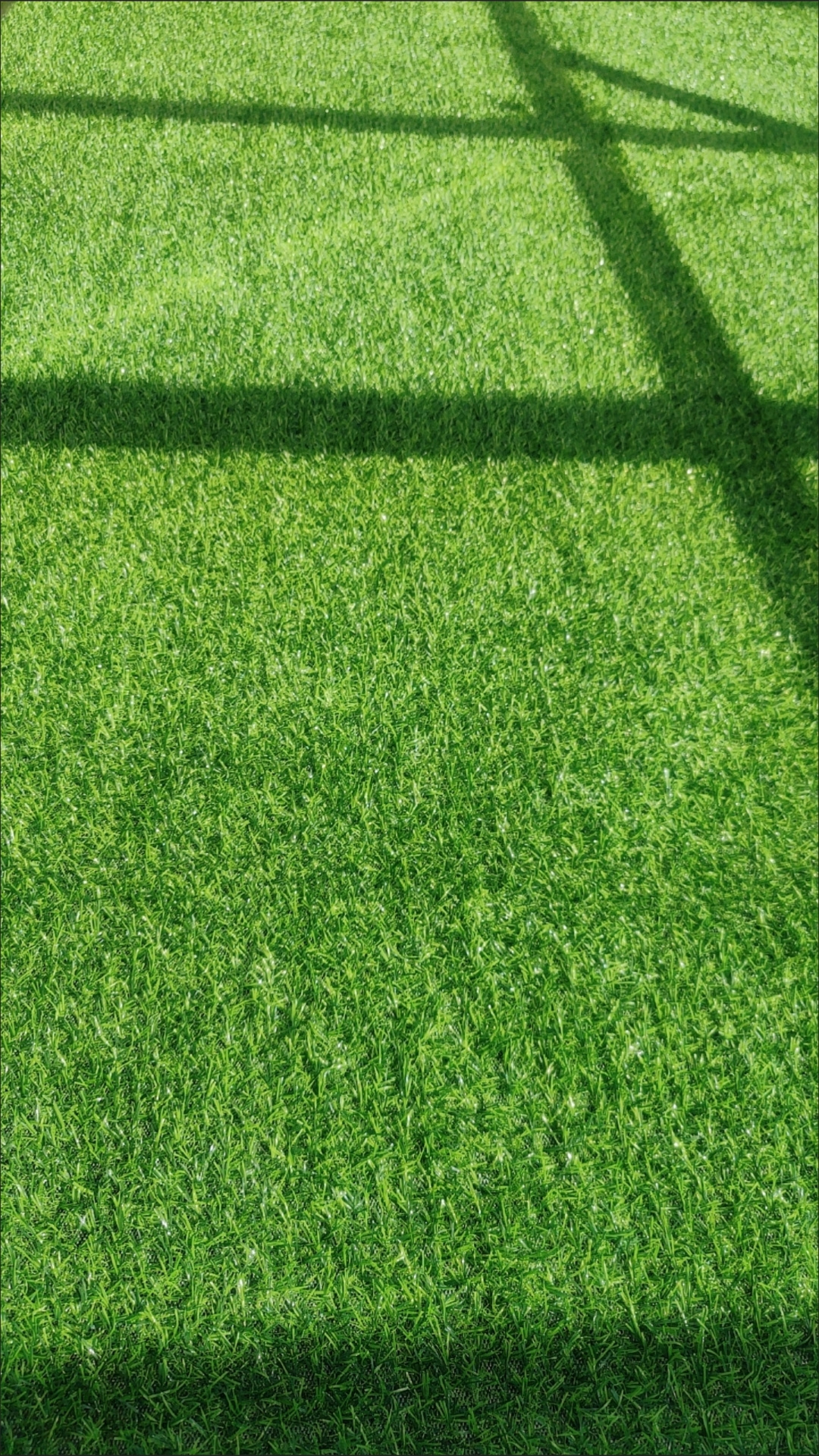 草坪仿真地毯   标题:草坪仿真地毯,如何选?