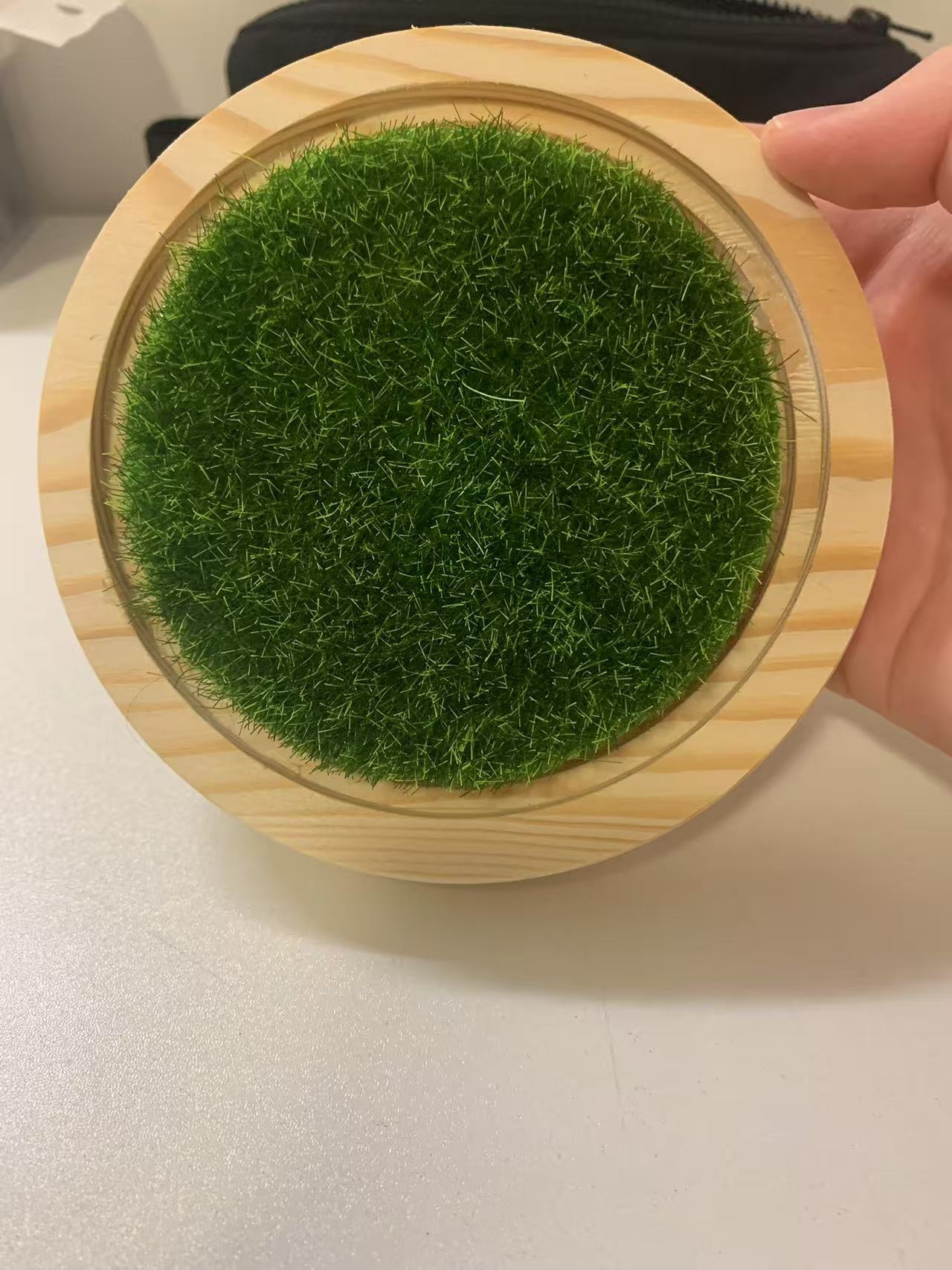 安顺草坪批发