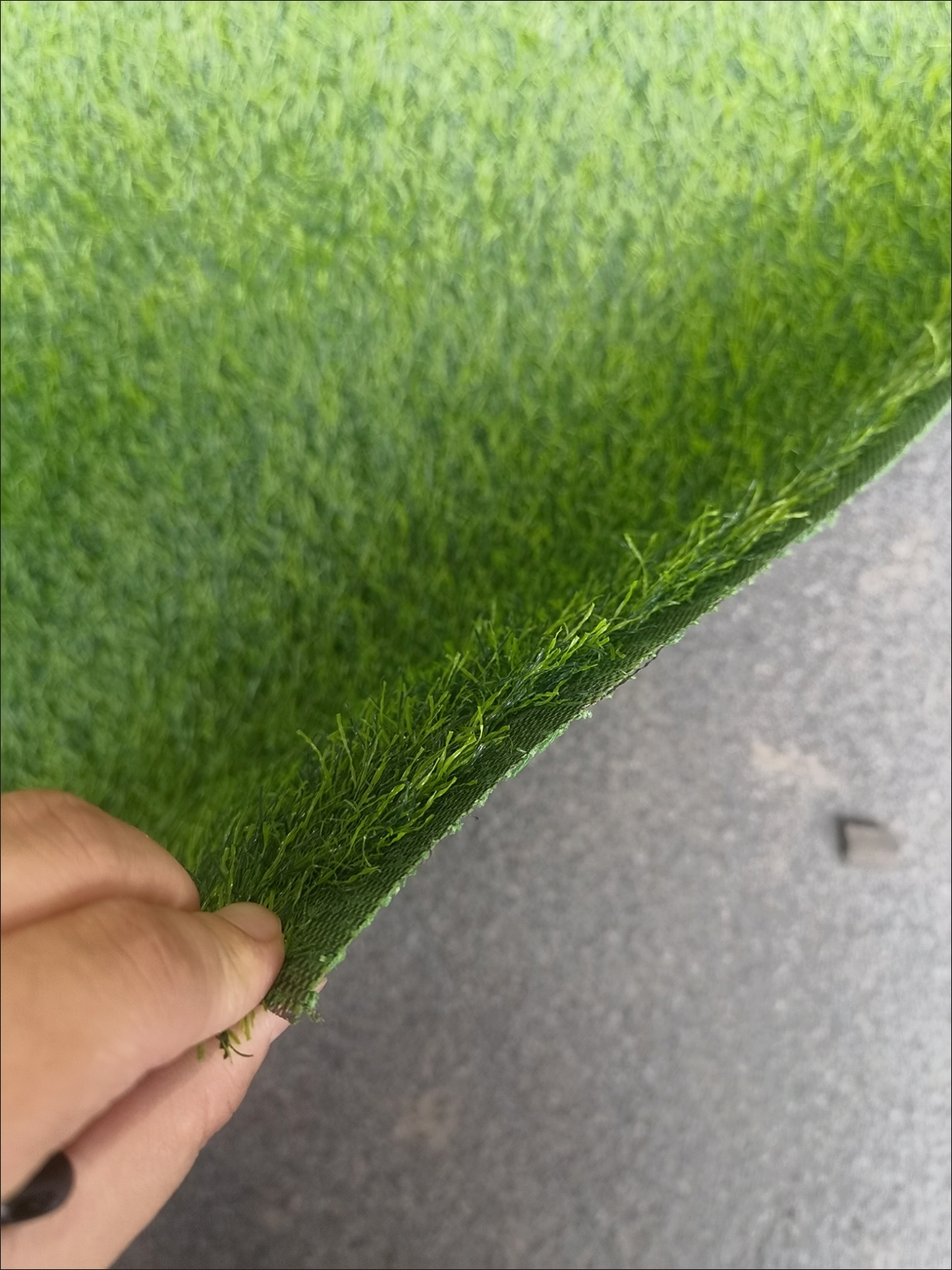 贵阳塑料草坪批发