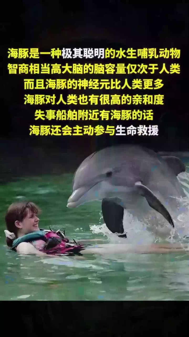 nasa 秘密实验太毁三观!人豚之恋操控,海豚分手后自杀