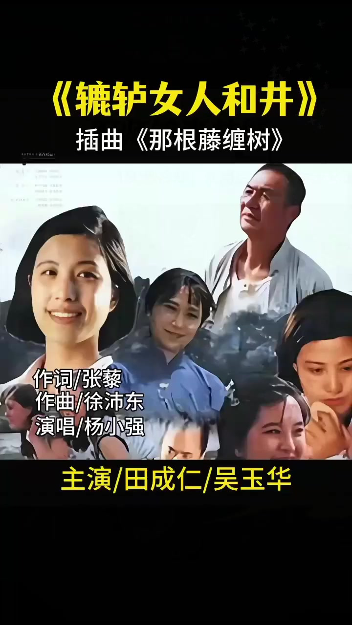 《辘轳女人和井》插曲《那根藤缠树》经典农村题材热播电视剧