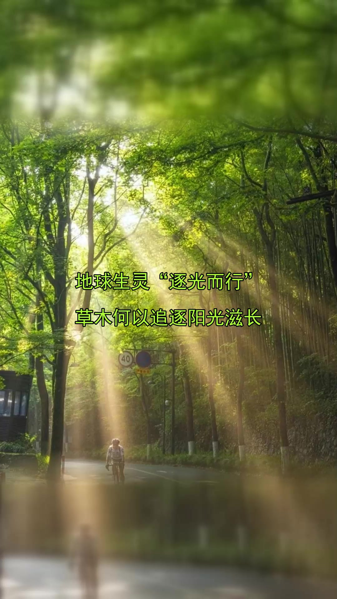 地球生灵"逐光而行",草木何以追逐阳光滋长