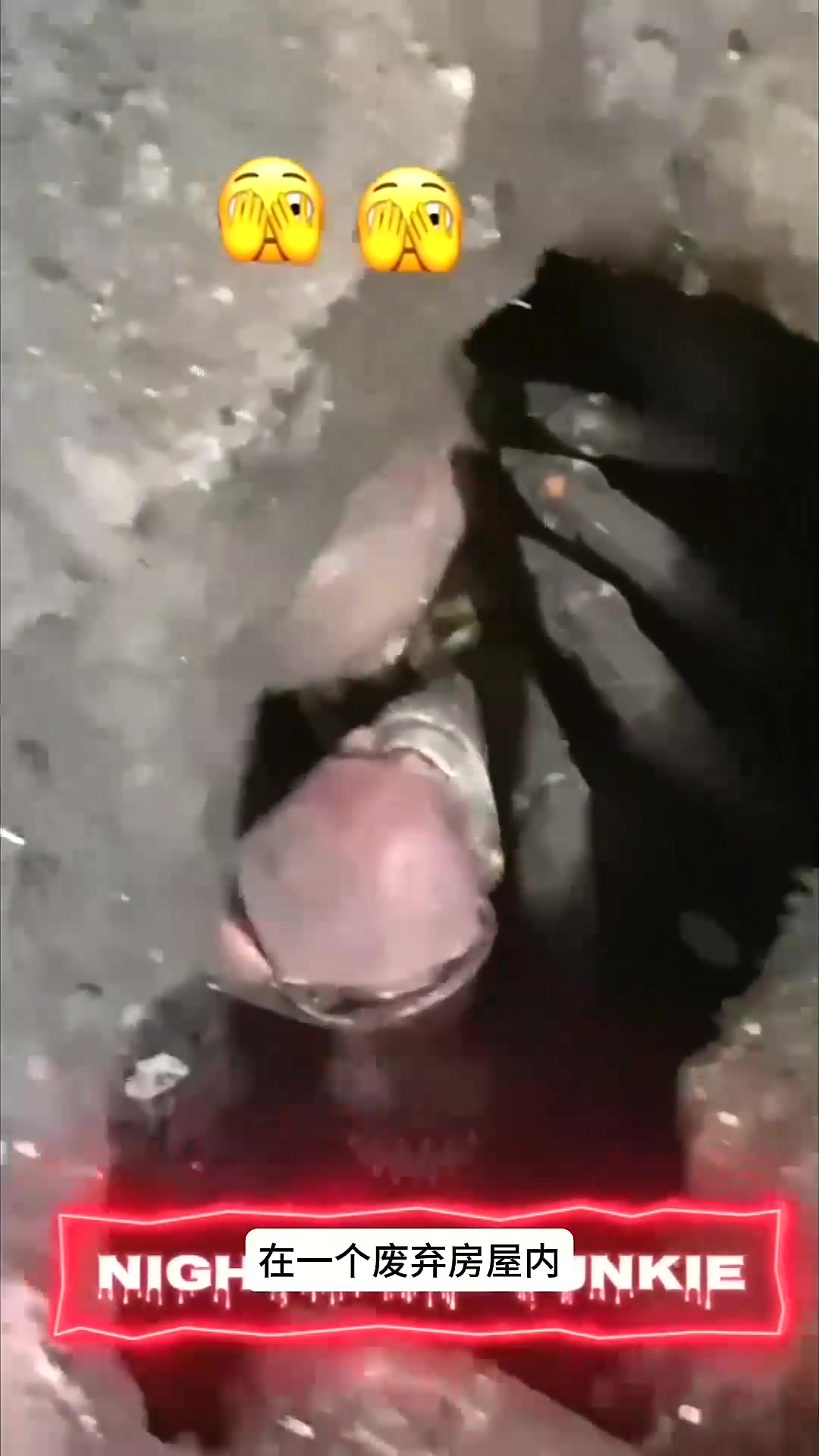 拍到的不明生物