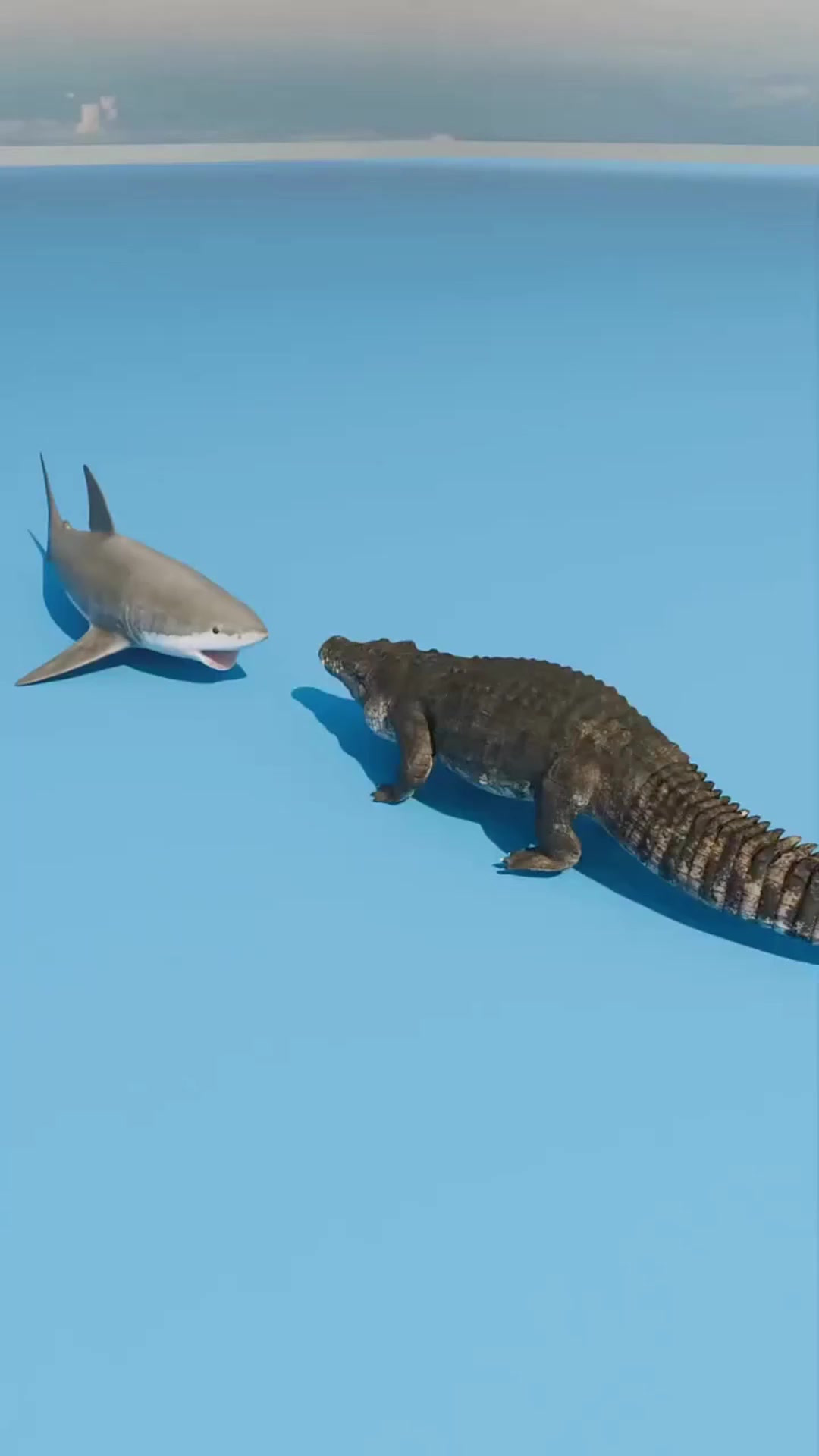 鲨鱼和鳄鱼单挑谁会赢?