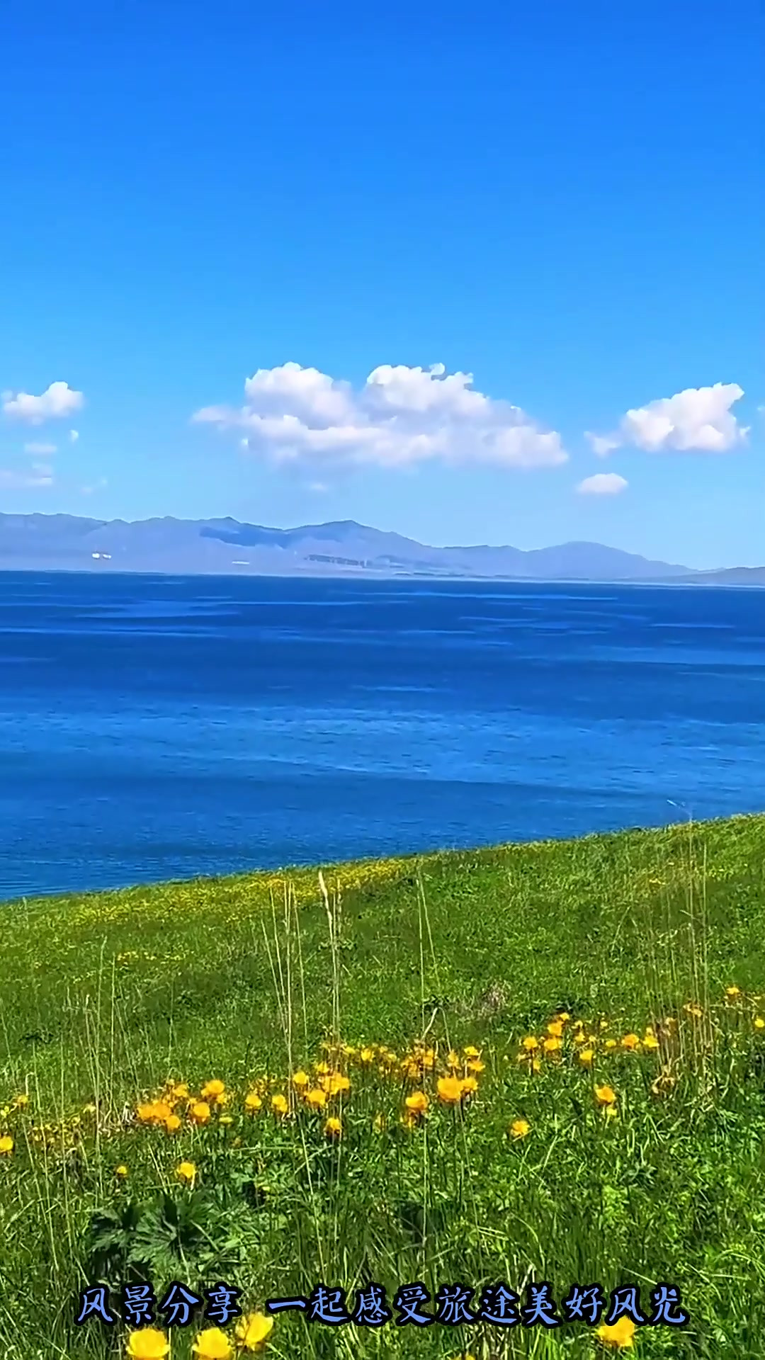 赛里木湖夏天湖边拍照，旅游帮手