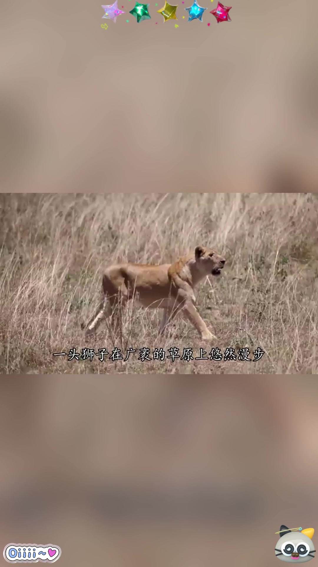 雄狮正在吃肉,一道"黑影"就猛蹿而出,狮子秒被"开膛破肚"!