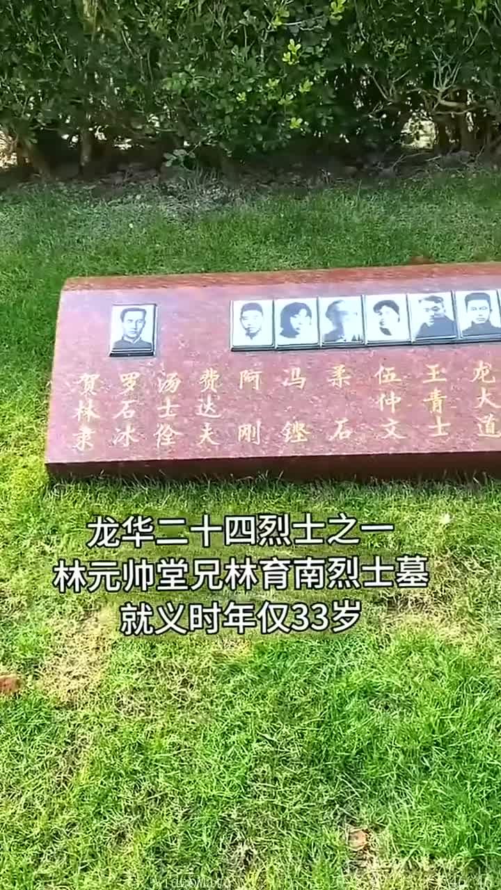 致敬革命英烈:铭记龙华二十四烈士的伟大牺牲与不朽贡献