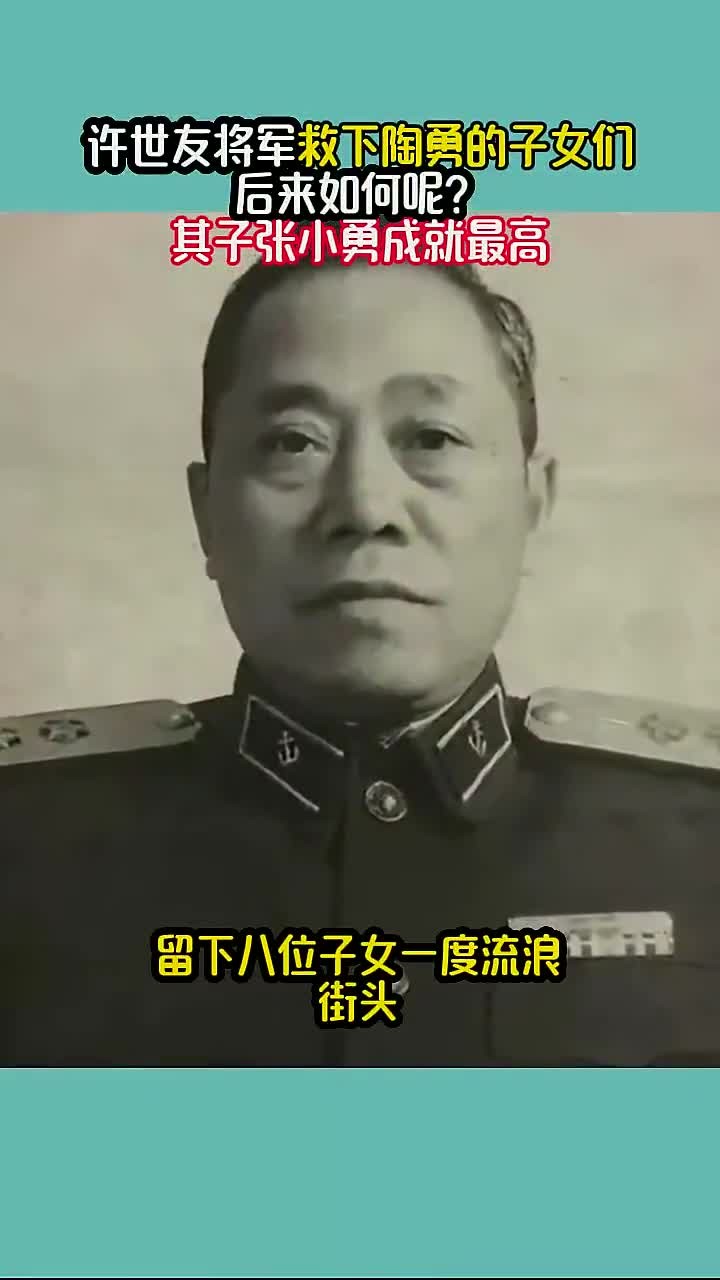 许世友将军救下陶勇的子女们,后来如何呢?其子张小勇成就最高