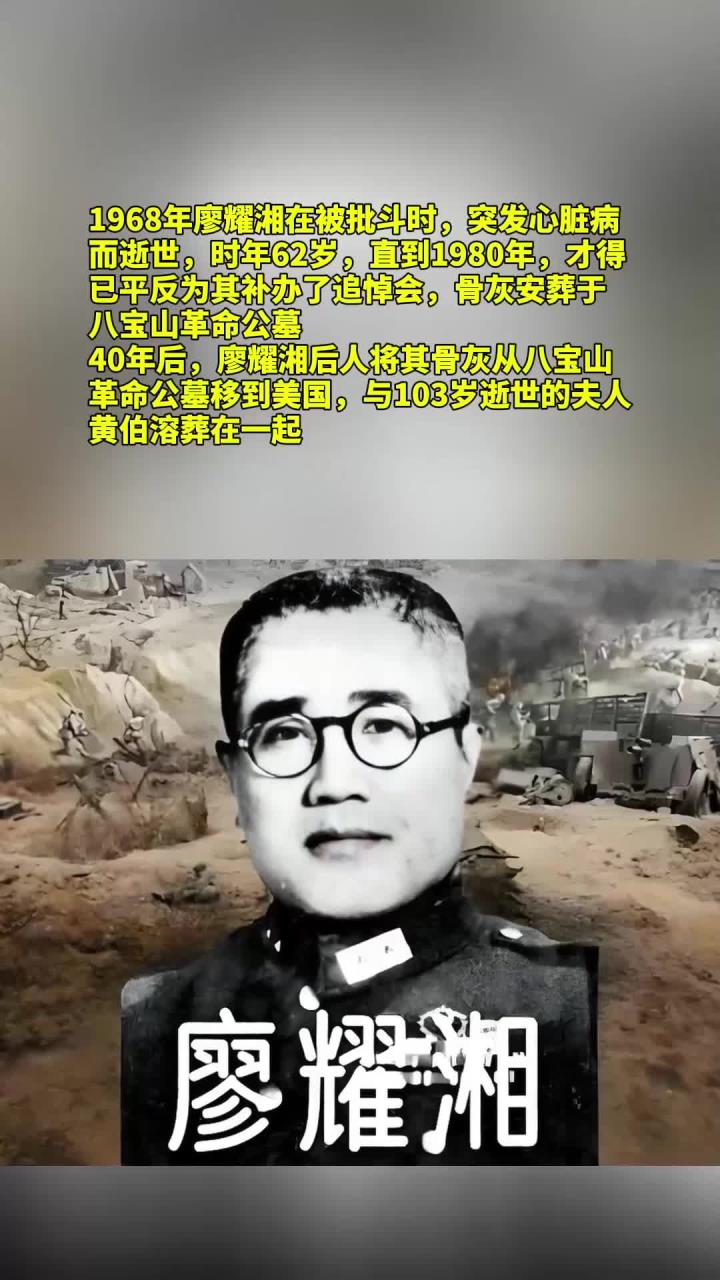 中国近代史廖耀湘将军