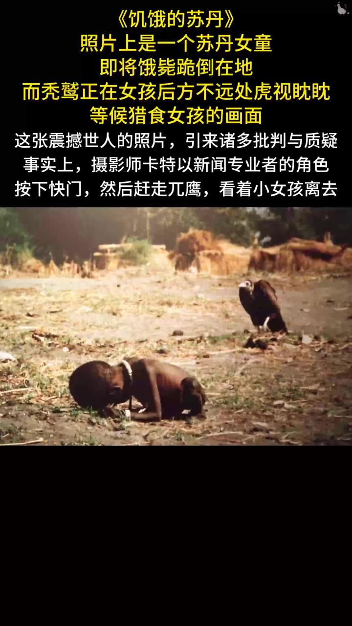 照片上是一个苏丹女童,即将饿毙跪倒在地,而秃鹫正在女孩后方不远处虎