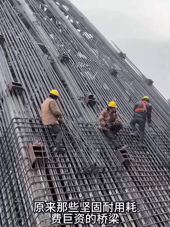 你见过这样的钢筋桥梁吗