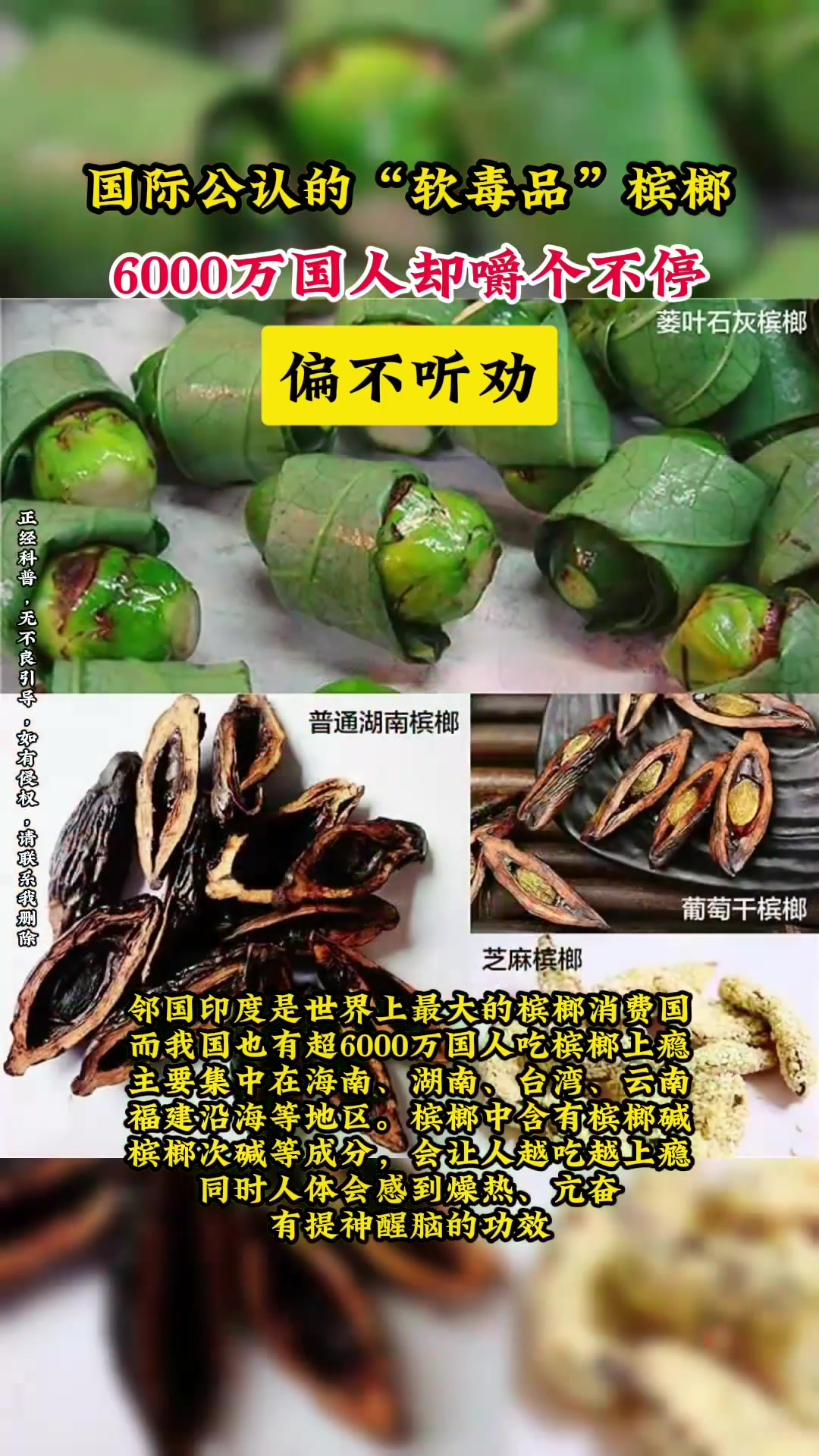 国际公认的"软毒品"槟榔,6000万国人却嚼个不停,偏不听劝