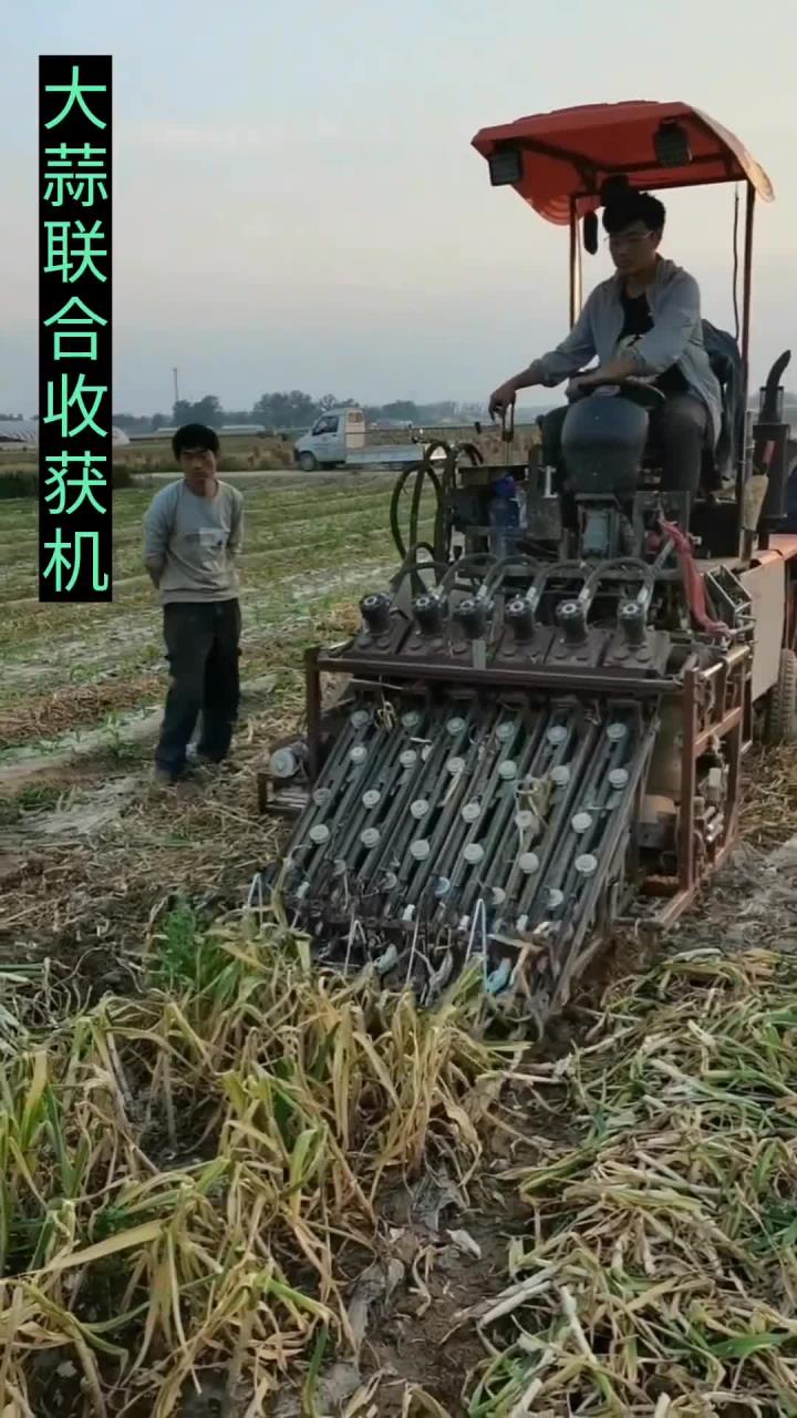 大蒜联合收获机,现代农业机械