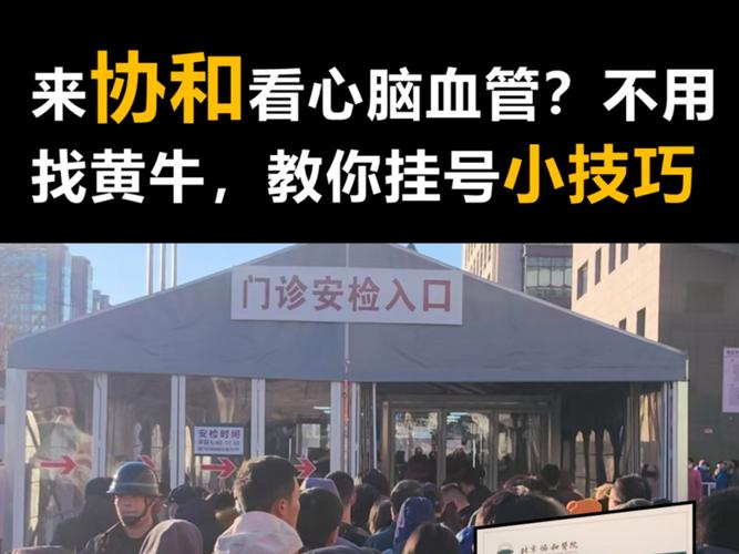 关于北京医院多年在用的黄牛挂号助手，办事特别稳妥的信息