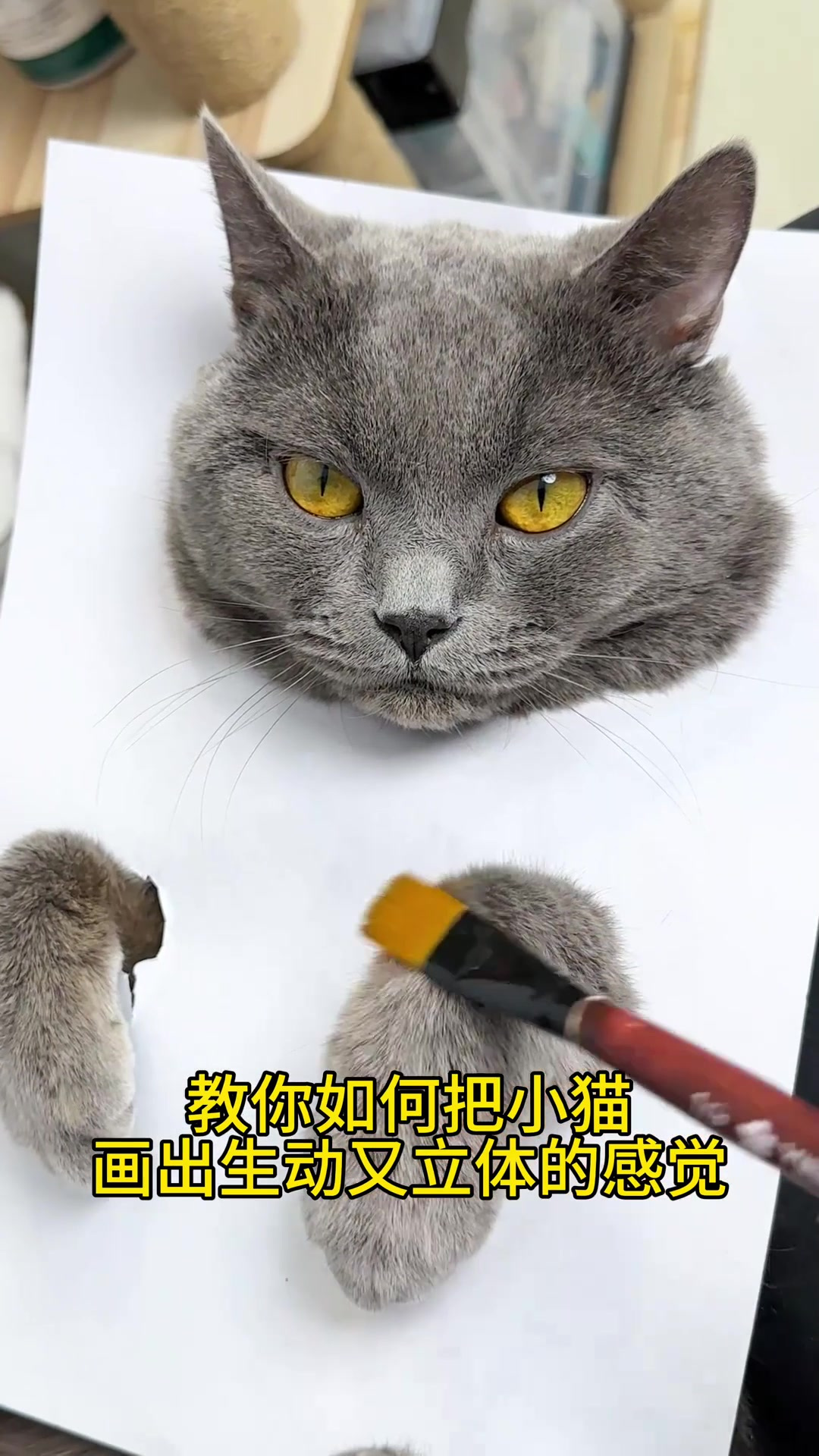 如何把小猫咪画的立体又生动?