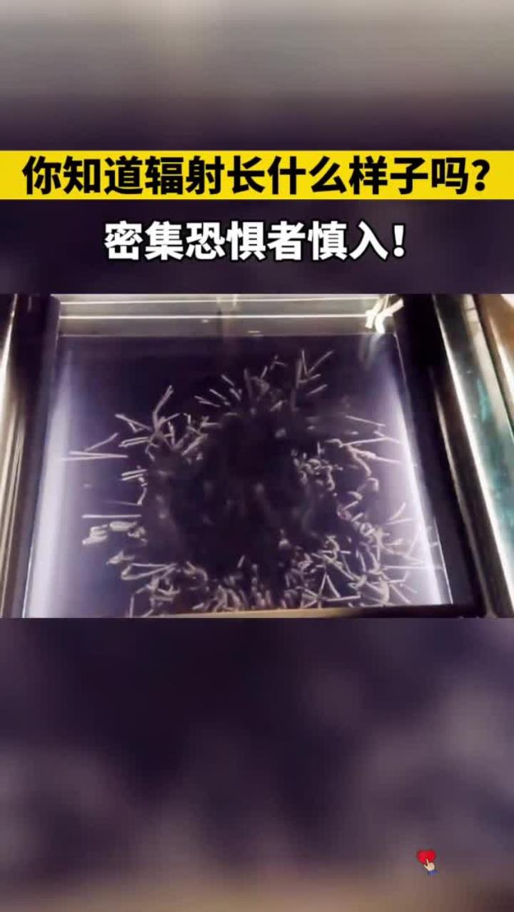 你知道辐射长什么样子吗?