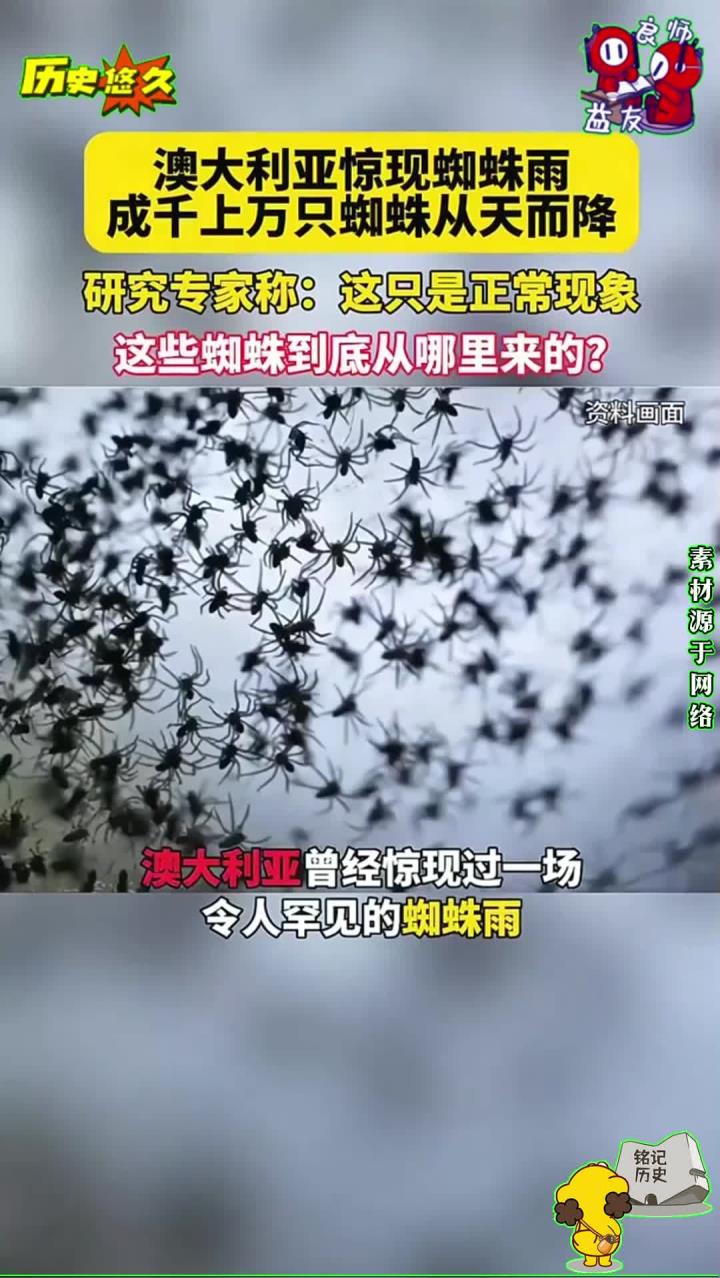 澳大利亚惊现蜘蛛雨,成千上万只蜘蛛从天而降,专家:这是正常现