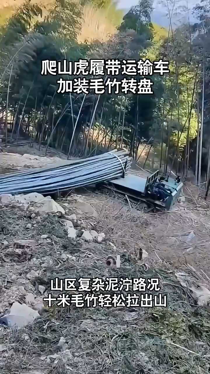 履带车拉毛竹 拉竹子毛竹履带车爬山虎