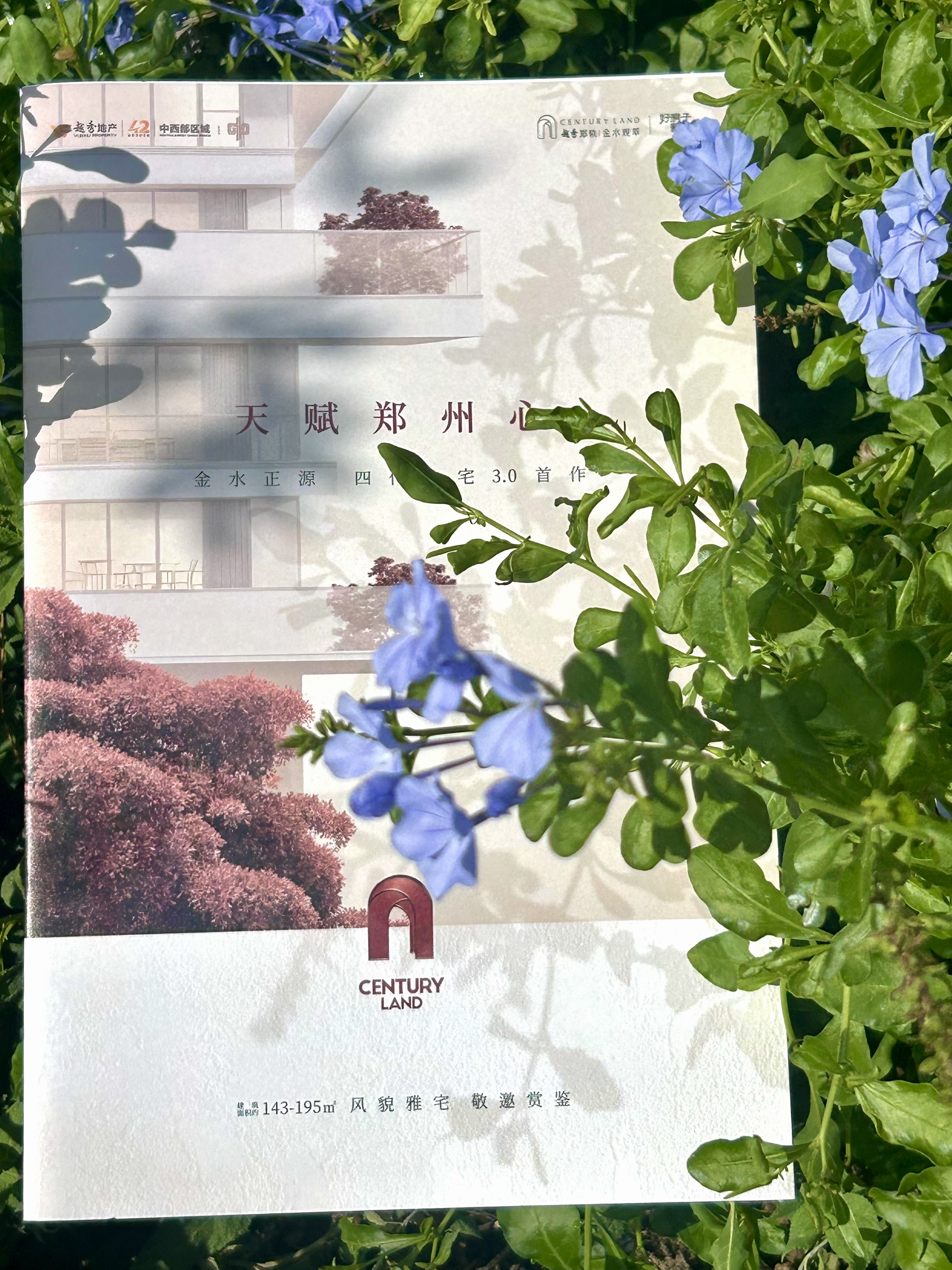 当阳光透过叶隙将树影投在天赋郑州心的字里行间仿佛能看见金水路