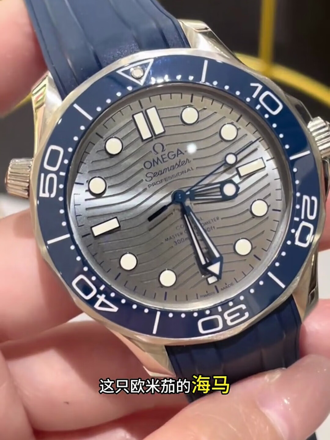 瑞士手表 海马300