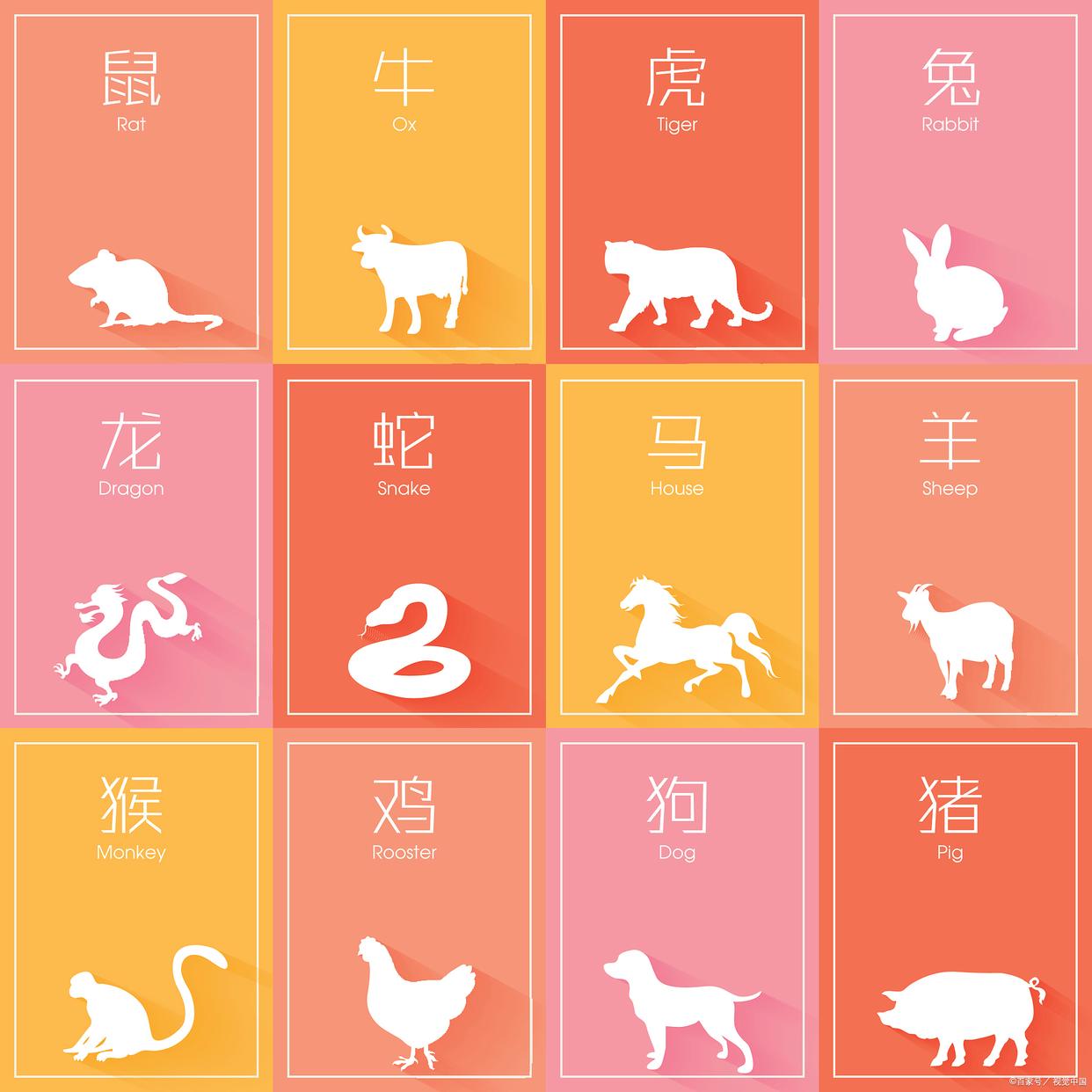 十二生肖乙亥猪年运势(乙亥猪年什么意思)