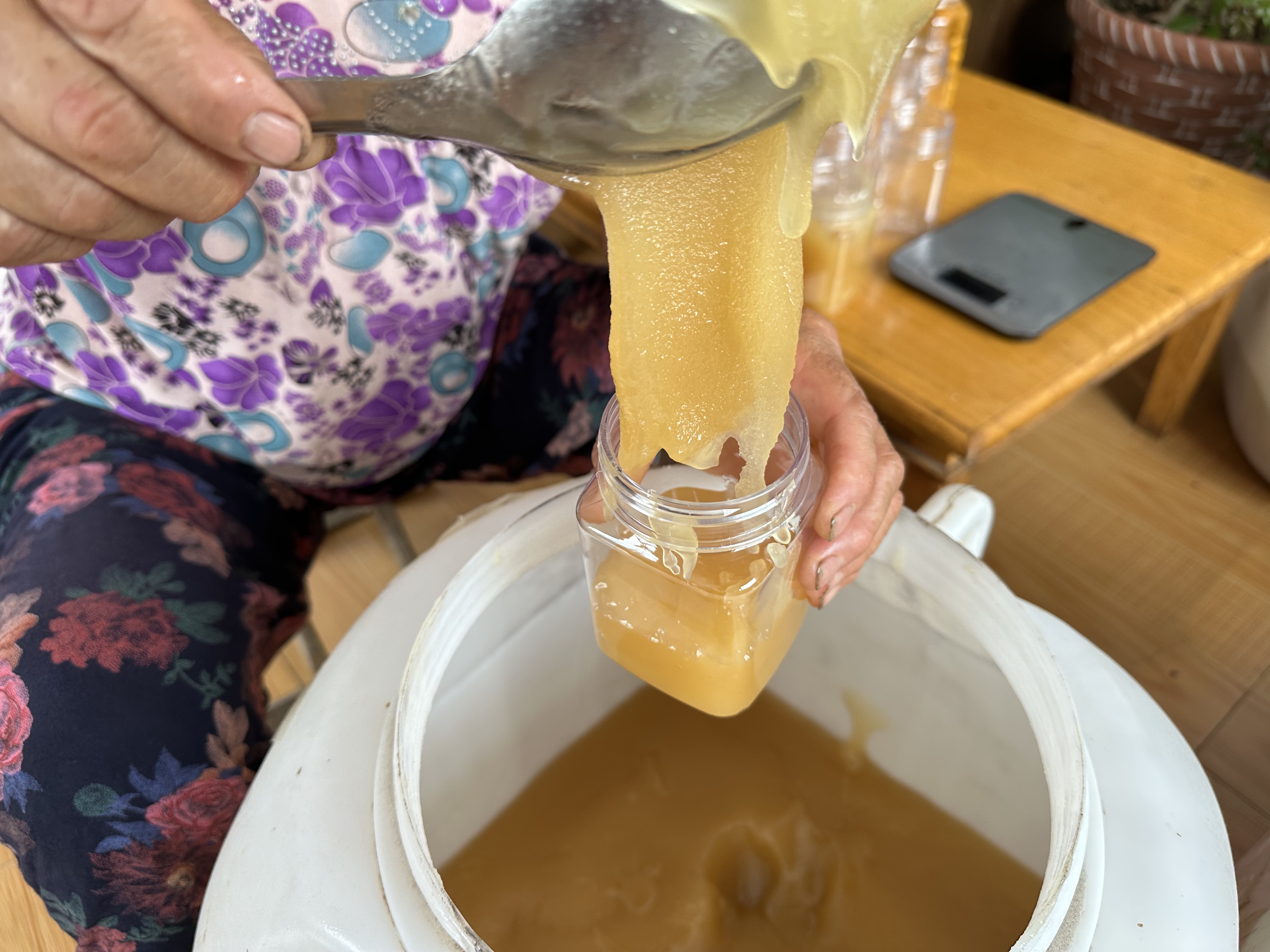 蜂蜜是否长胖(蜂蜜的会不会胖) 蜂蜜是否长胖(蜂蜜的会不会胖)