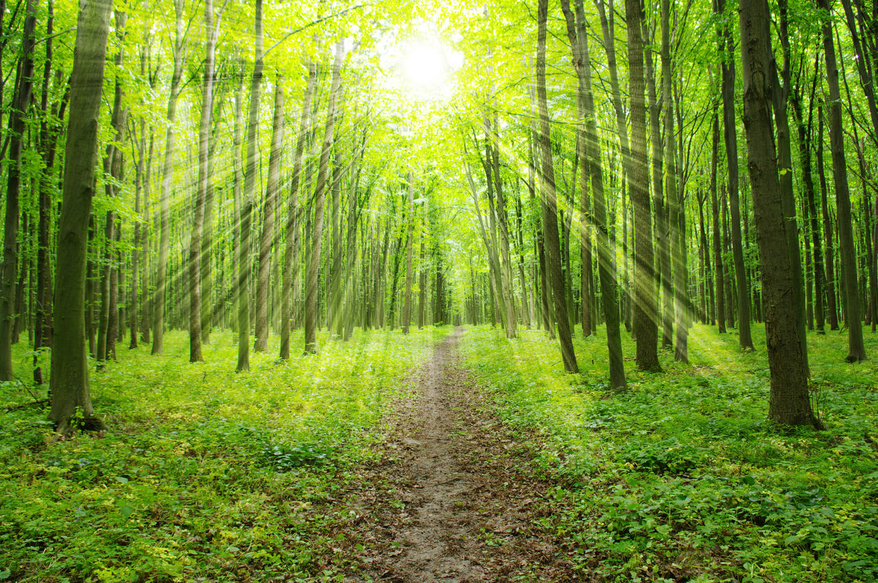 温州十大免费景区