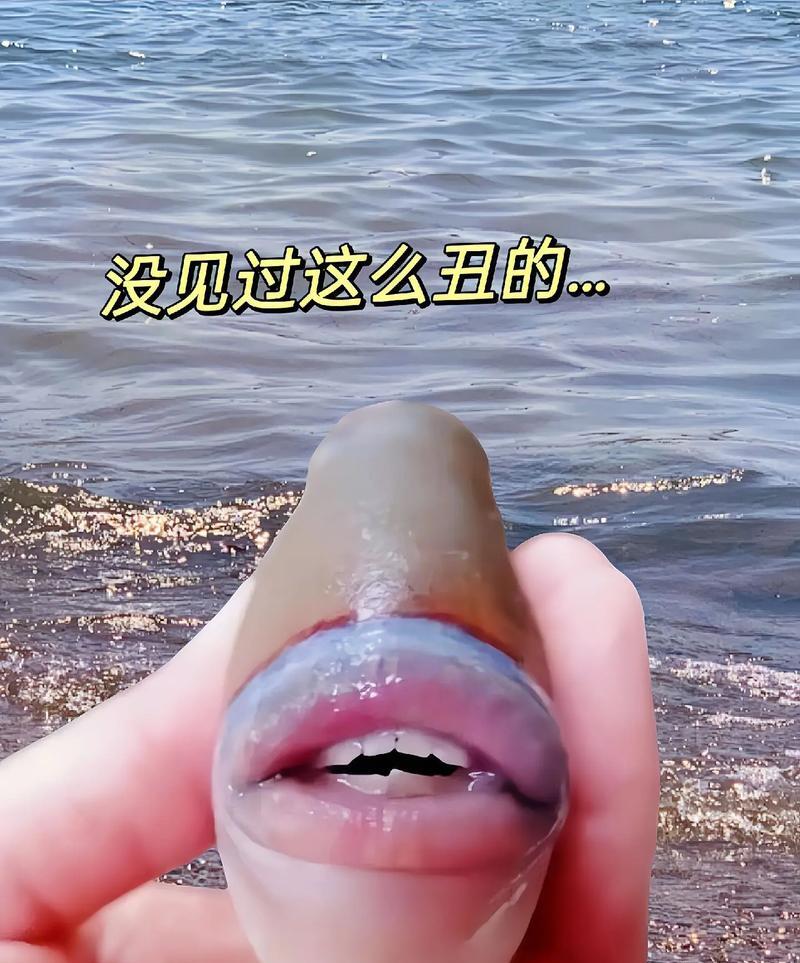 下午路过菜场时,发现有人在卖鱼,摊贩说是胖头鱼,想着老公爱吃鱼,就花