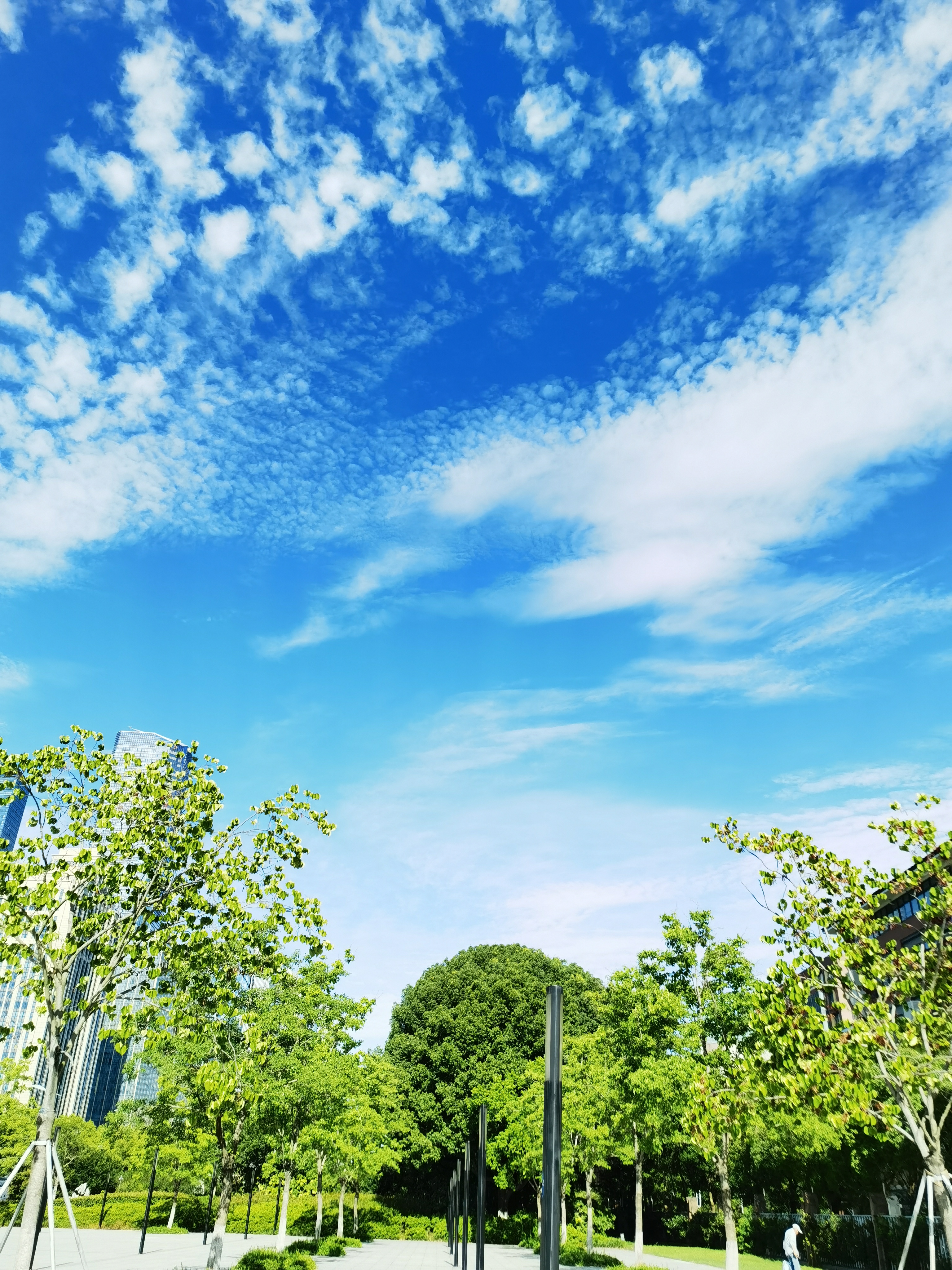 夜晚的天空也格外明净,竟然看到点点星星闪烁,这在城市的夜空难得一