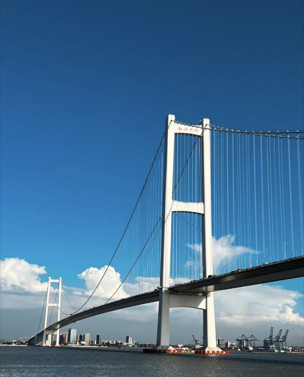 广州番禺海鸥岛,广州市一小时内最直得去打卡好地方!