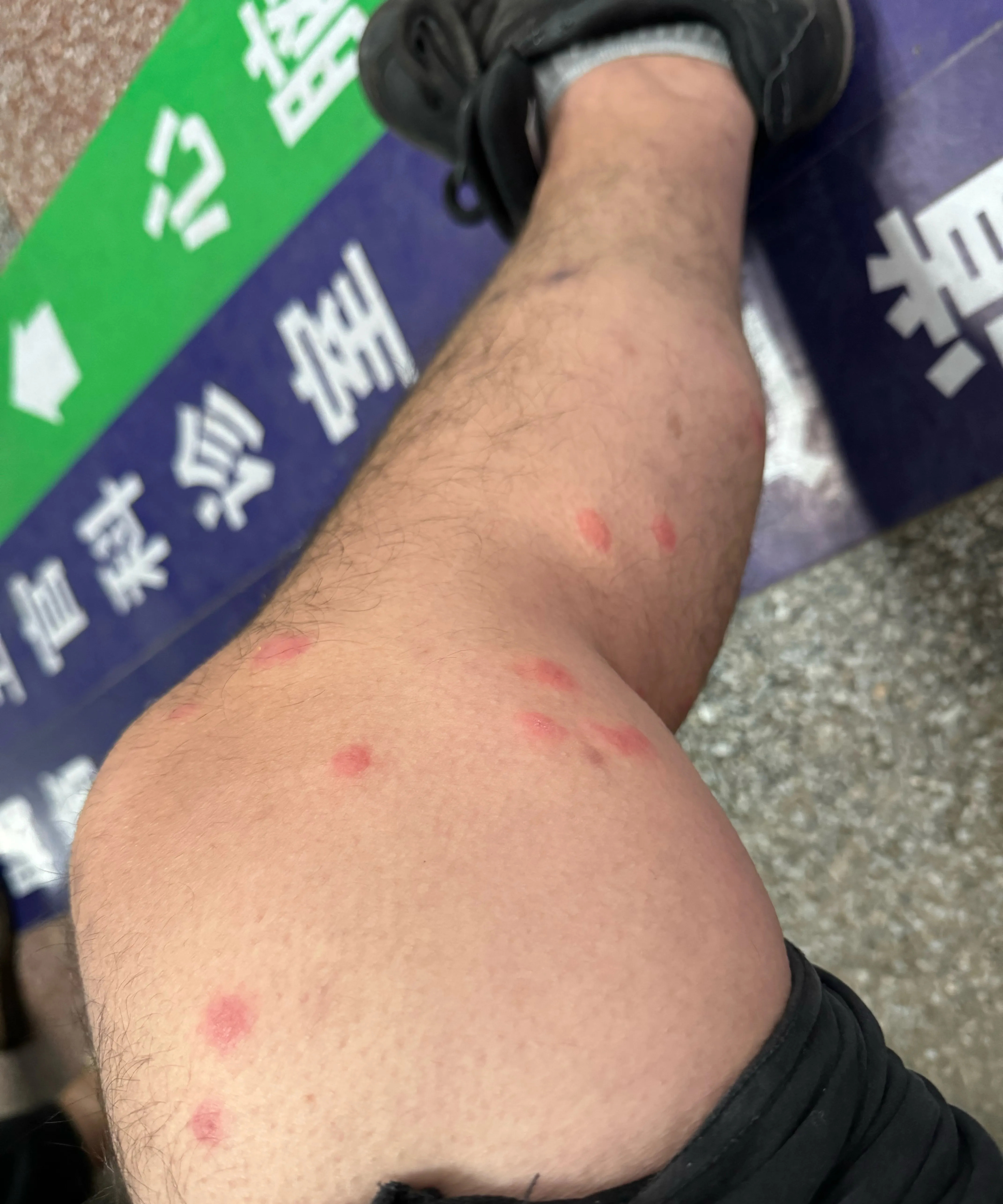 今天做了三菜一汤, 饭做好以后,女儿就回来了,女