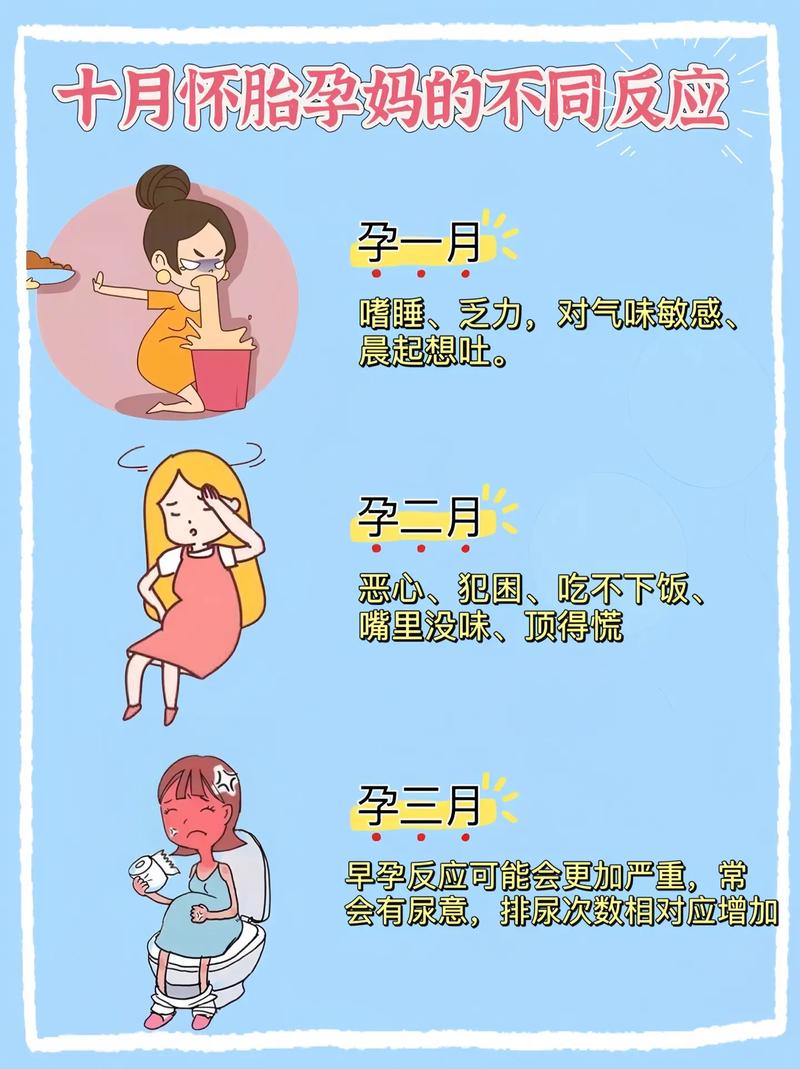 懂不?