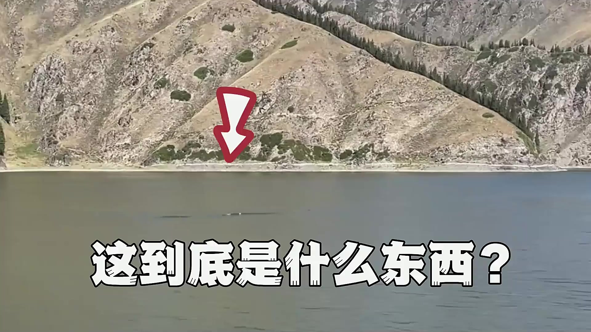 新疆天山天池15米水怪 新疆天山天池15米水怪