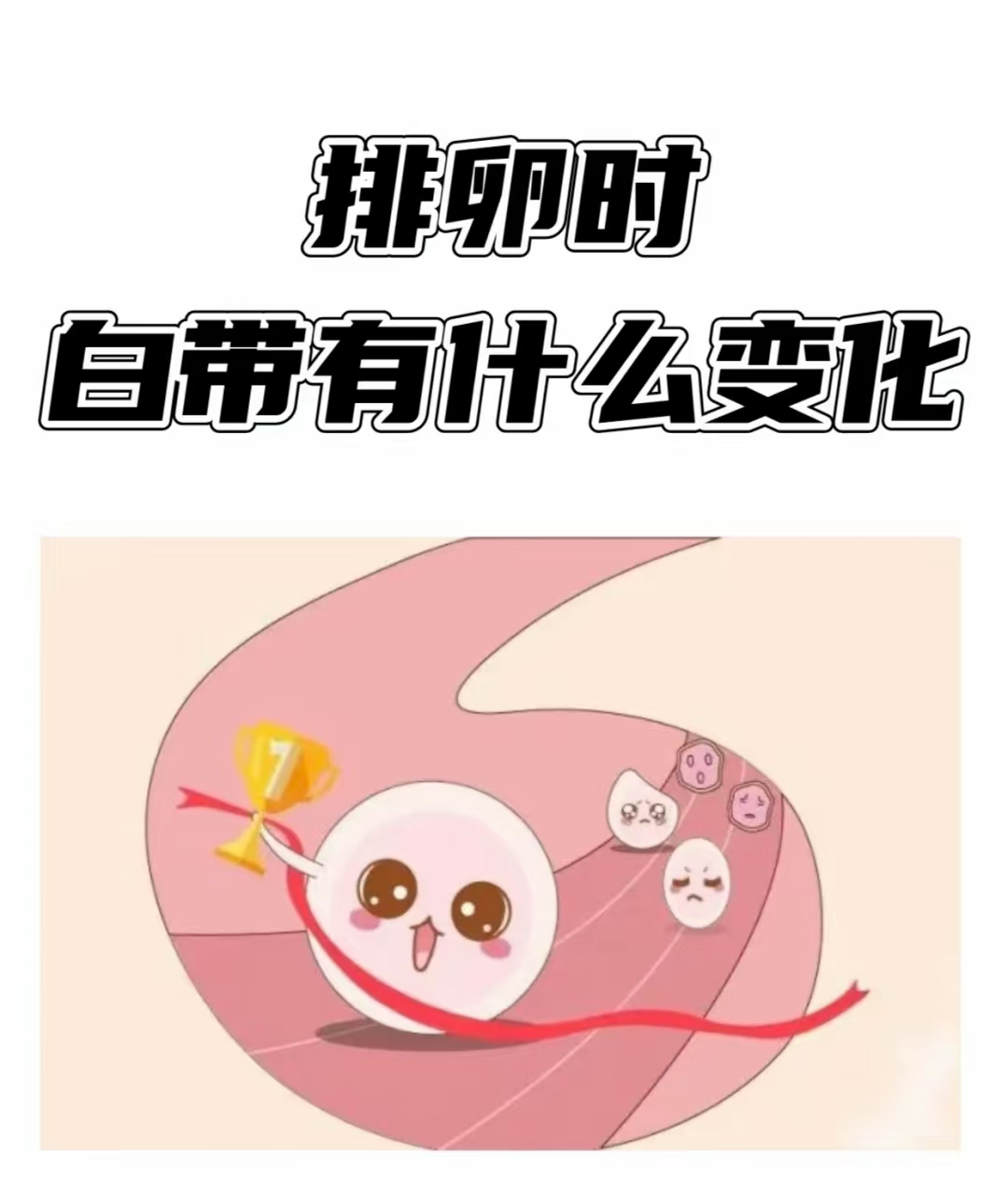 排卵正常为什么怀不上孩子呢百科在线