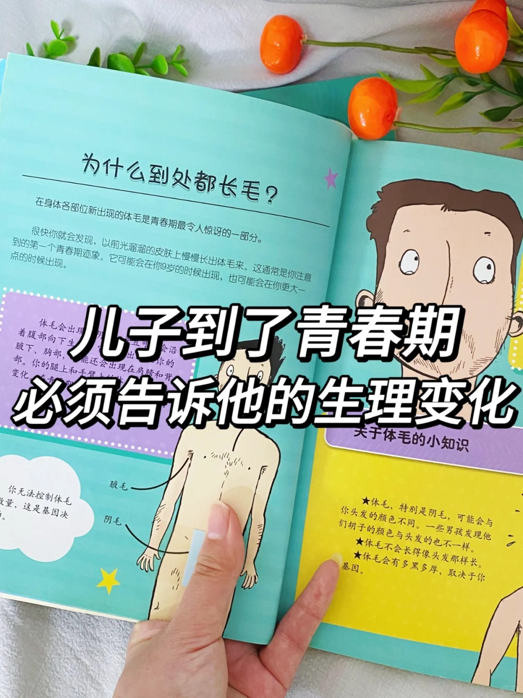女孩进入青春期后,第二性征会乔啻浩谌颂 第二性征图青春期发育器官