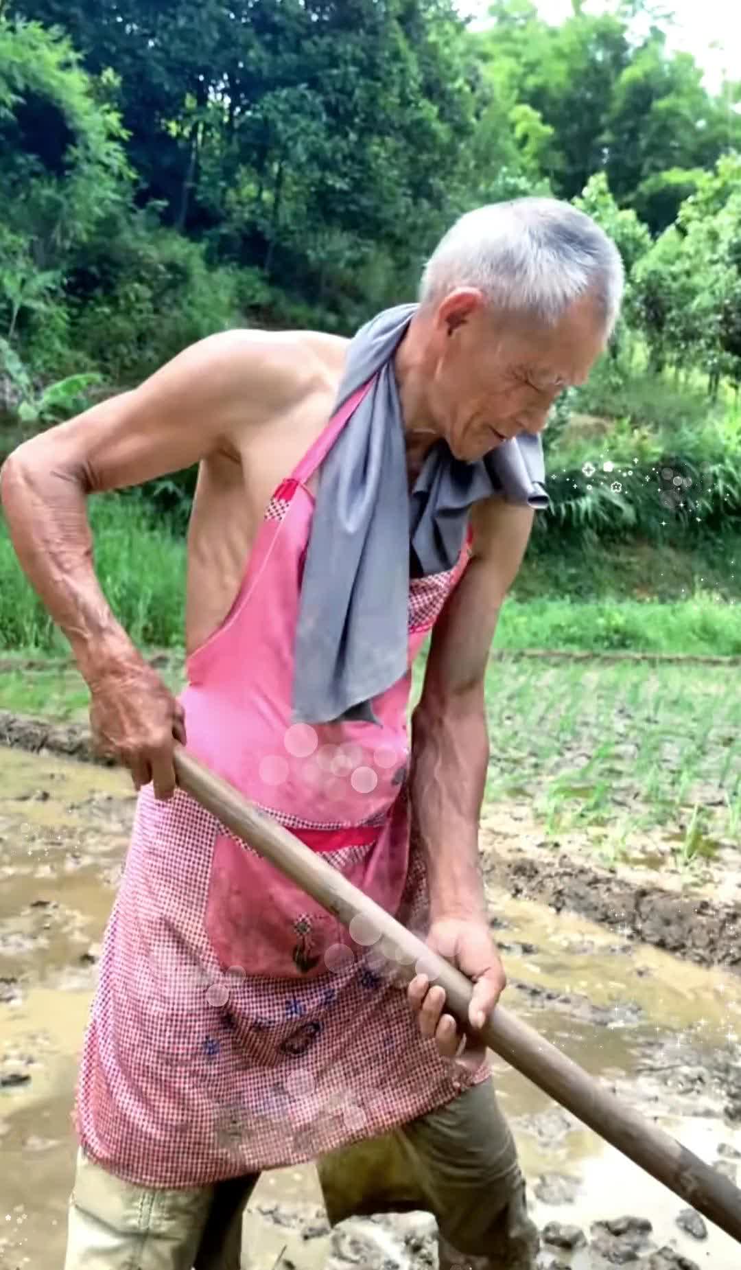 发现一个奇怪现象 农村五六十岁 干体力活的男人 几乎很少能见到秃顶