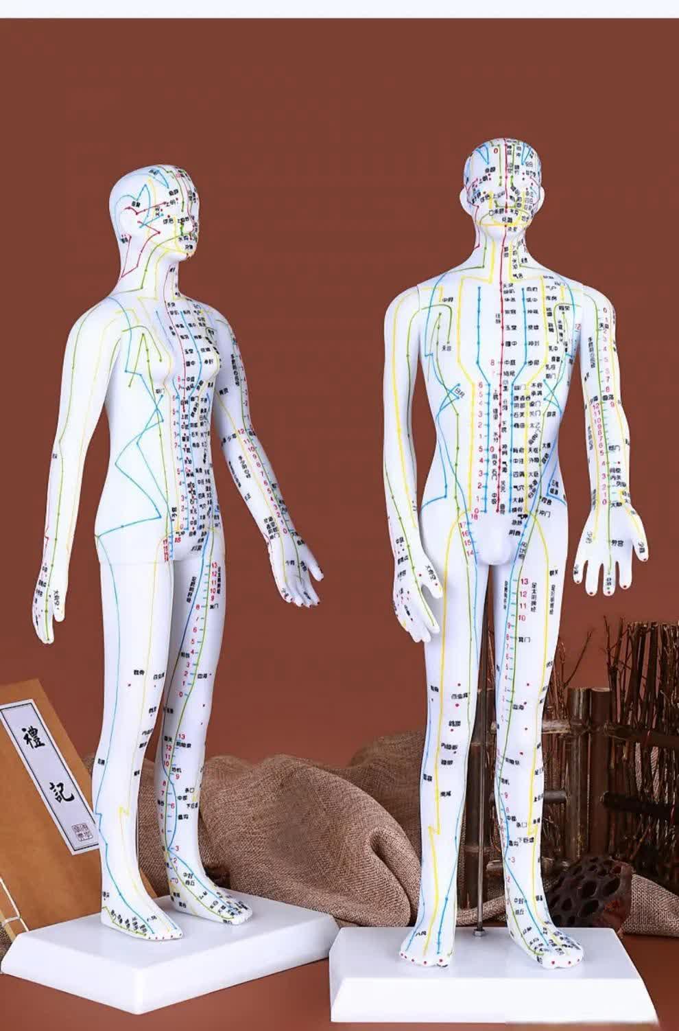 大自然有五行,人体有五脏,腰椎有五节 一个星期有7天人有7窍,颈椎有7