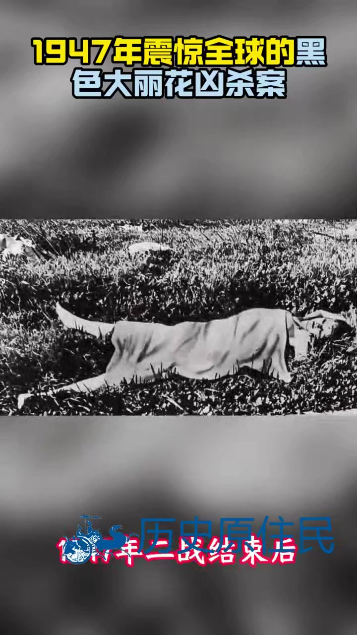 1947年,二战结束后美国发生的一起震惊全城的凶杀案黑色大丽花!
