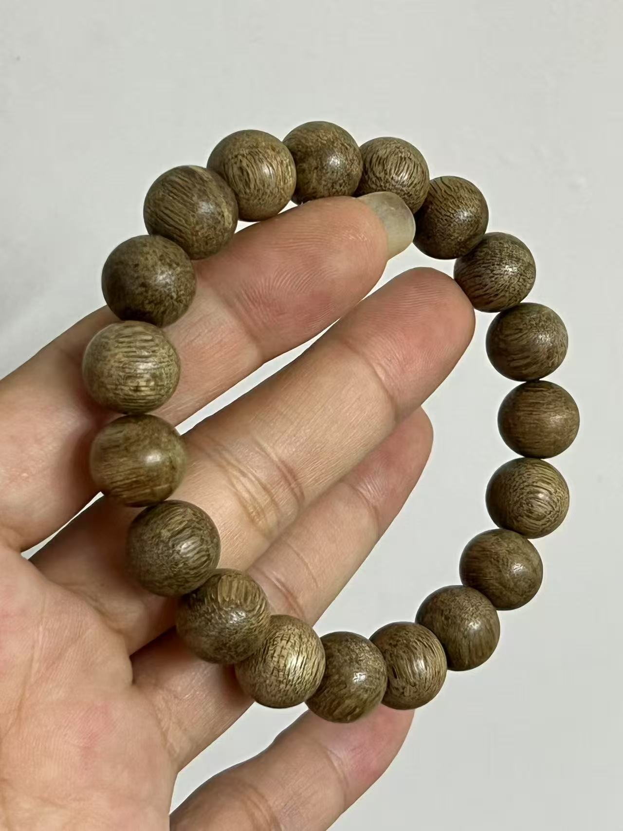 沉香种植全指南：从白木香树苗到奇楠沉香的生态种植之路