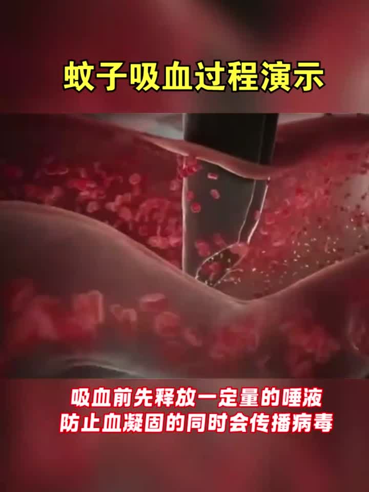 蚊子吸血是为什么 蚊子吸血是为什么