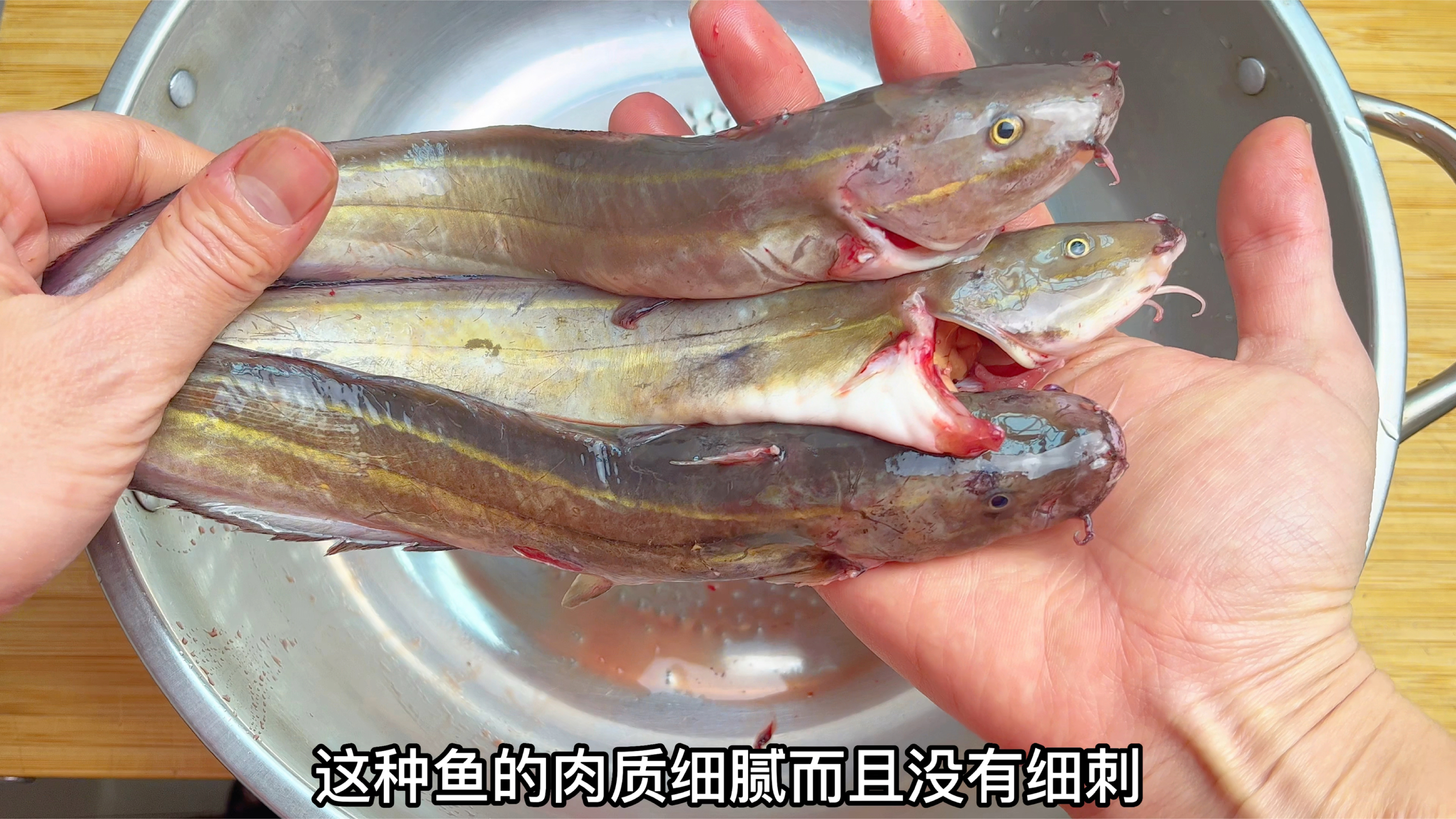 海鱼“剧毒”排第三的沙毛鱼，潮汕人教你这样煮，鱼肉鲜嫩又不腥