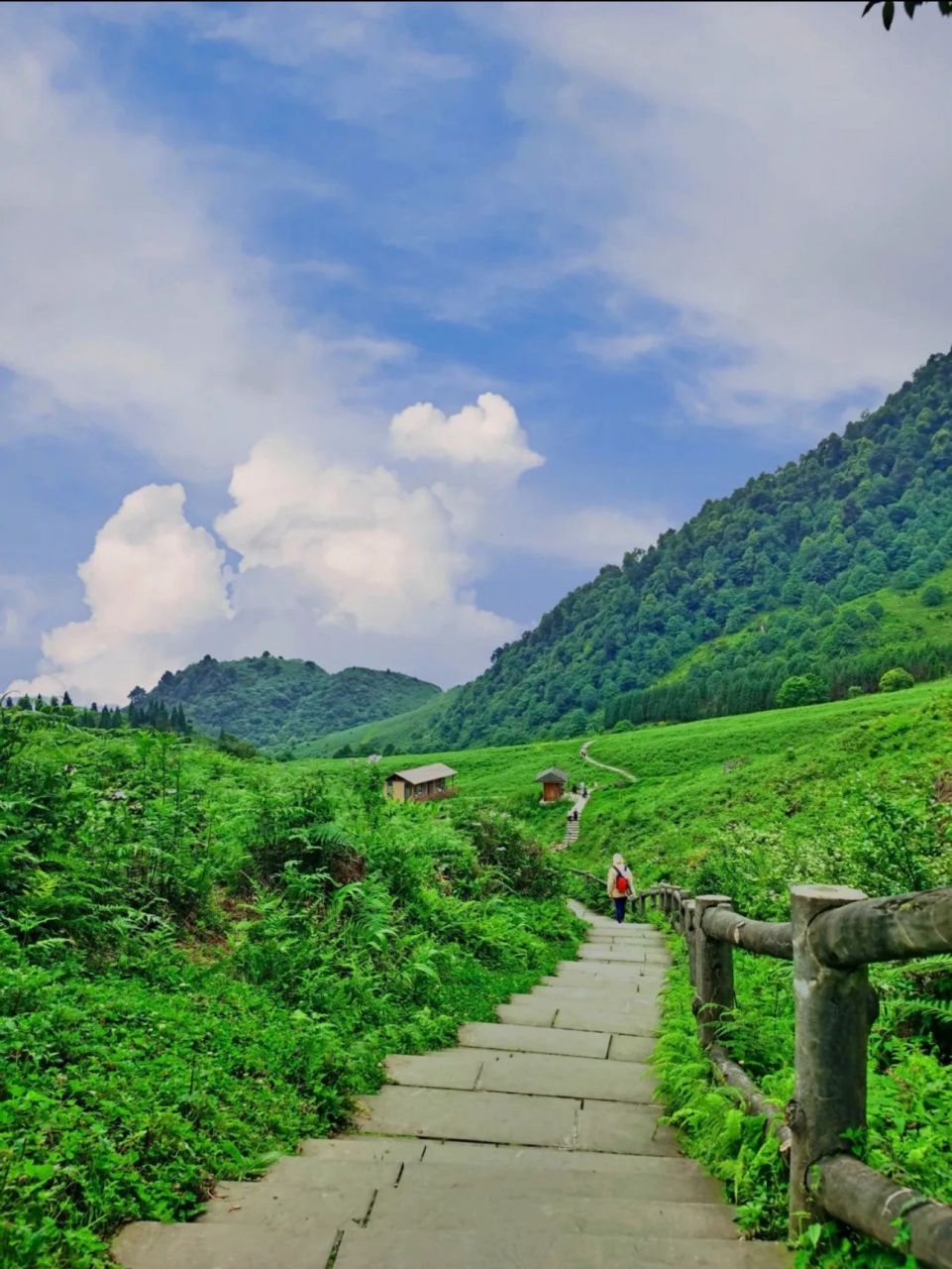 绝不让你失望的马里冷旧黑竹沟 乐山|峨边黑竹沟·马里冷旧超全攻略