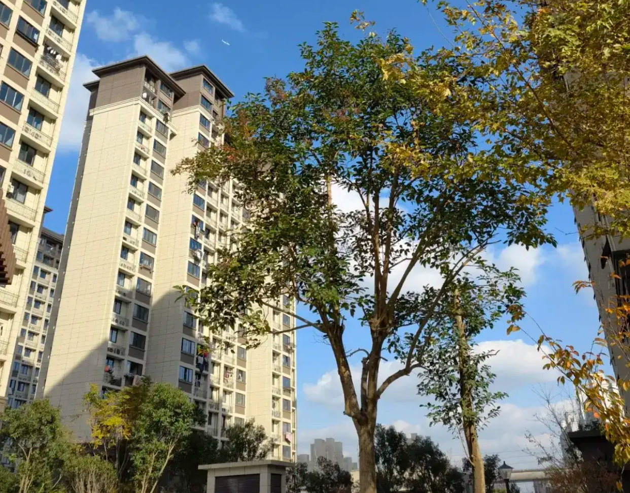 这种单纯的物质给予,或许能在一时之间满足孩子的某