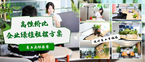 办公室绿植采购