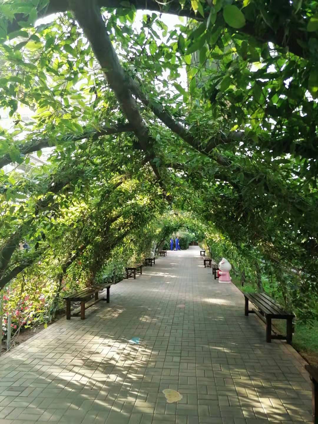 辽阳美景分享推荐新时代六地辽宁杠杠滴辽宁好网民守法好公民
