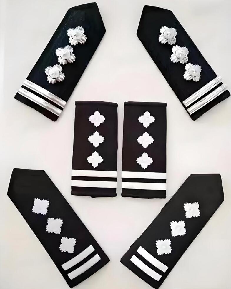 他们不太精通电脑打字,而且他们的教育和税收都比较好